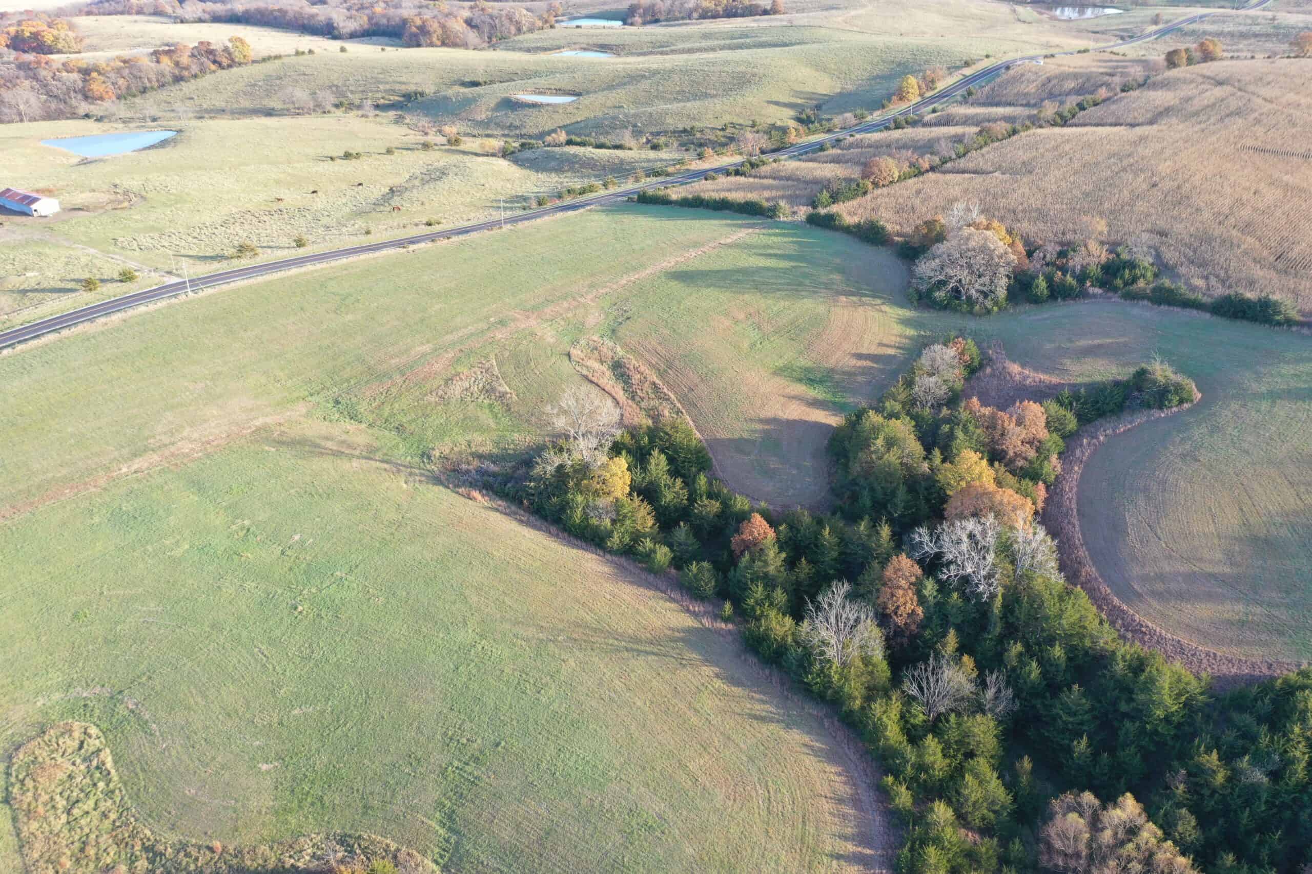 Small Tract Hunting Farm For Sale NW MO