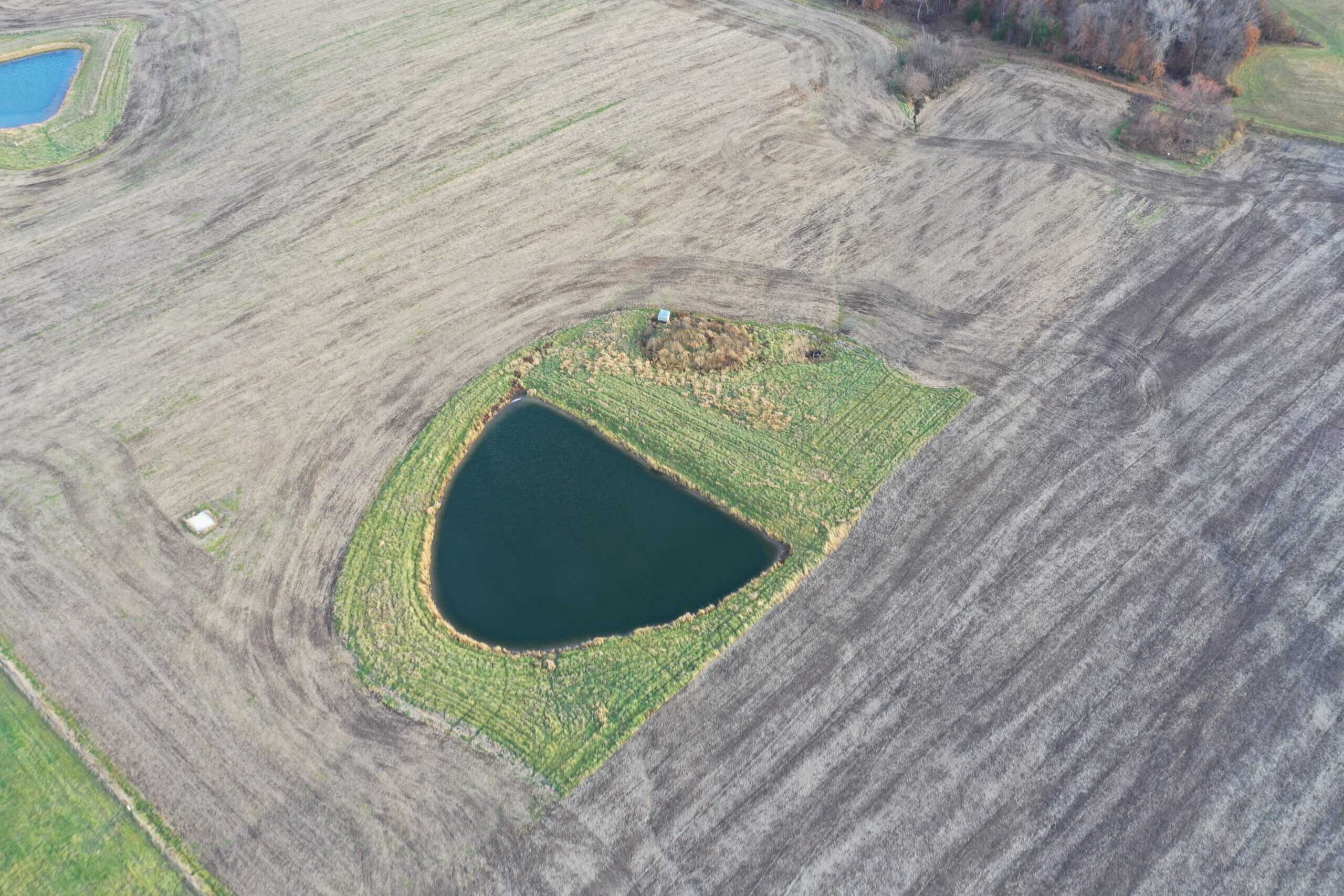 Mercer County Tillable Farm For Sale