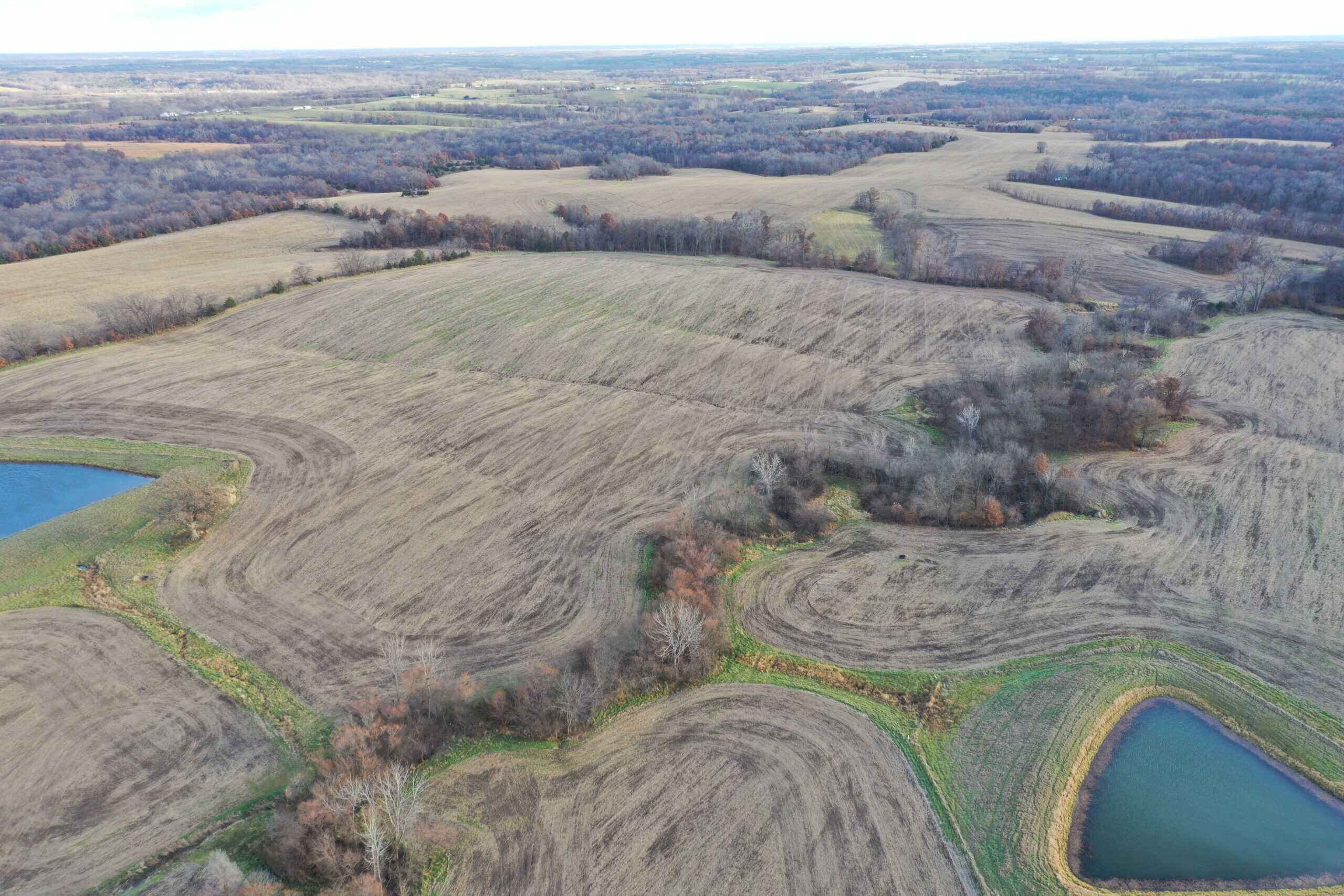 Mercer County Tillable Farm For Sale