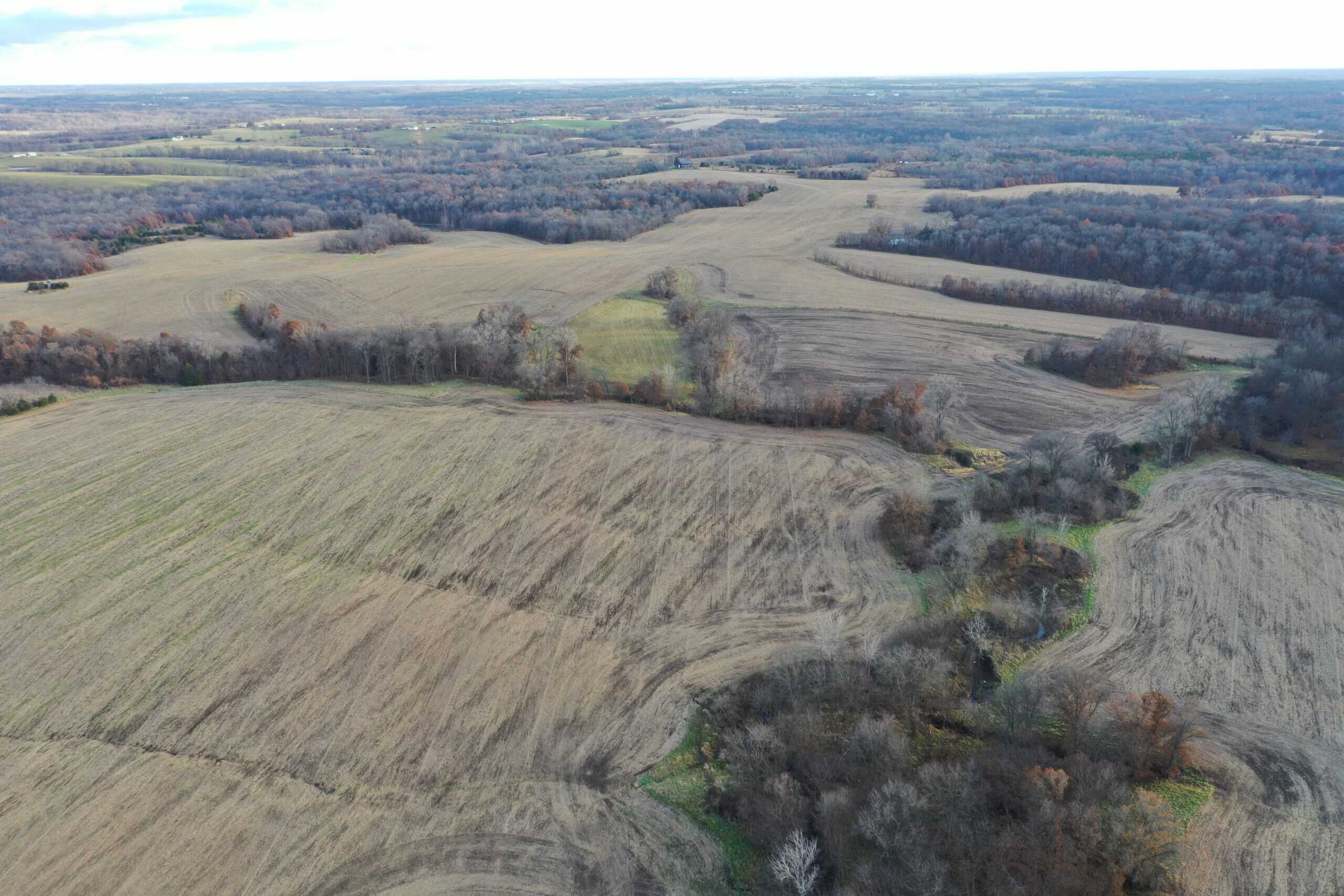 Mercer County Tillable Farm For Sale