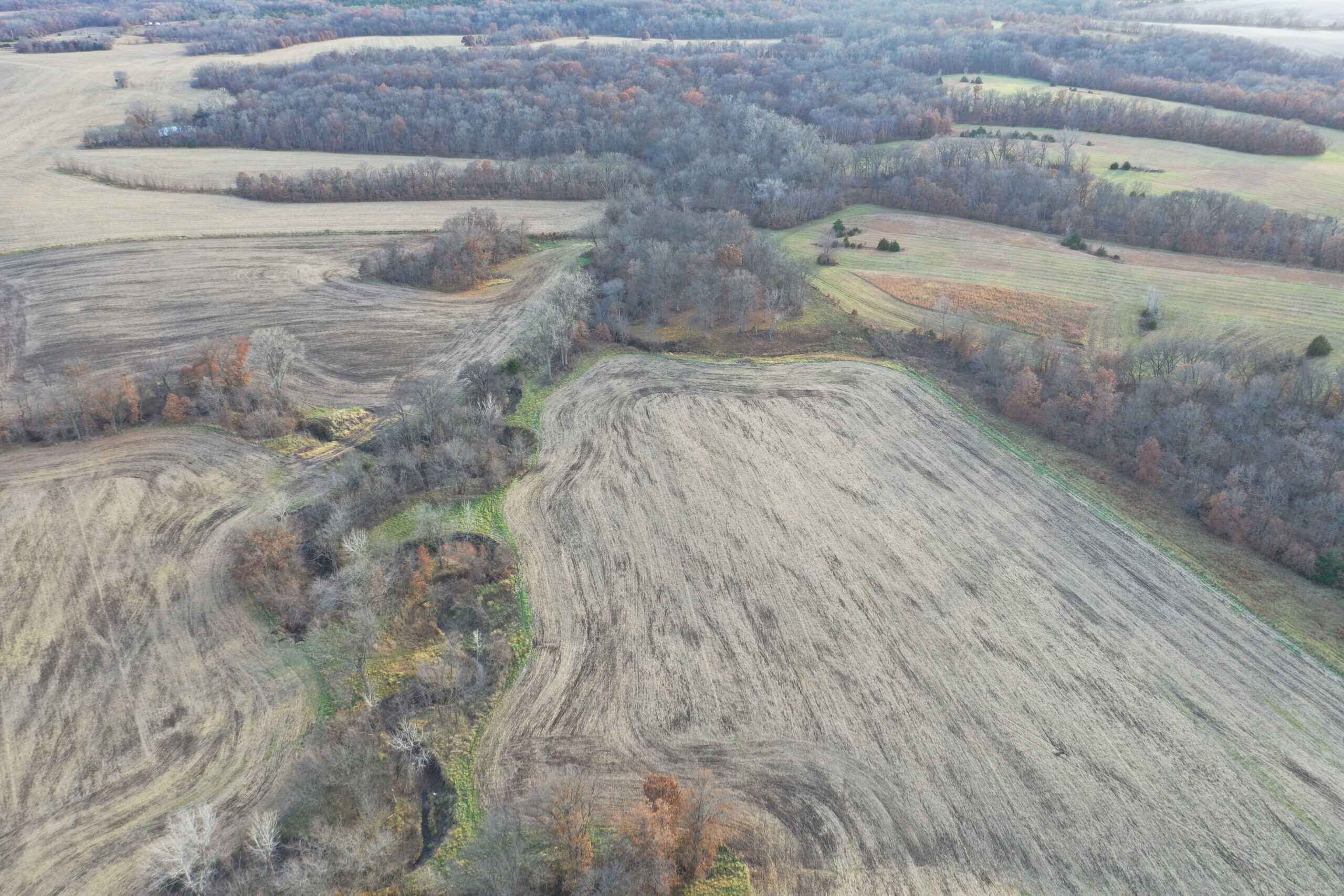 Mercer County Tillable Farm For Sale
