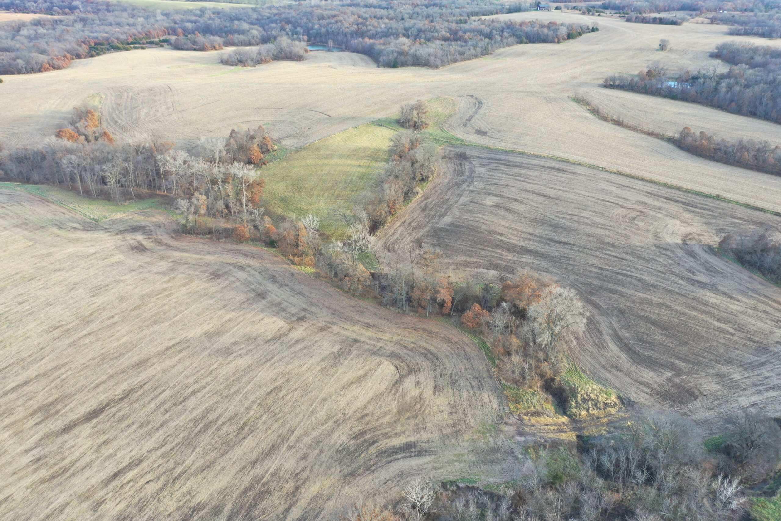 Mercer County Tillable Farm For Sale