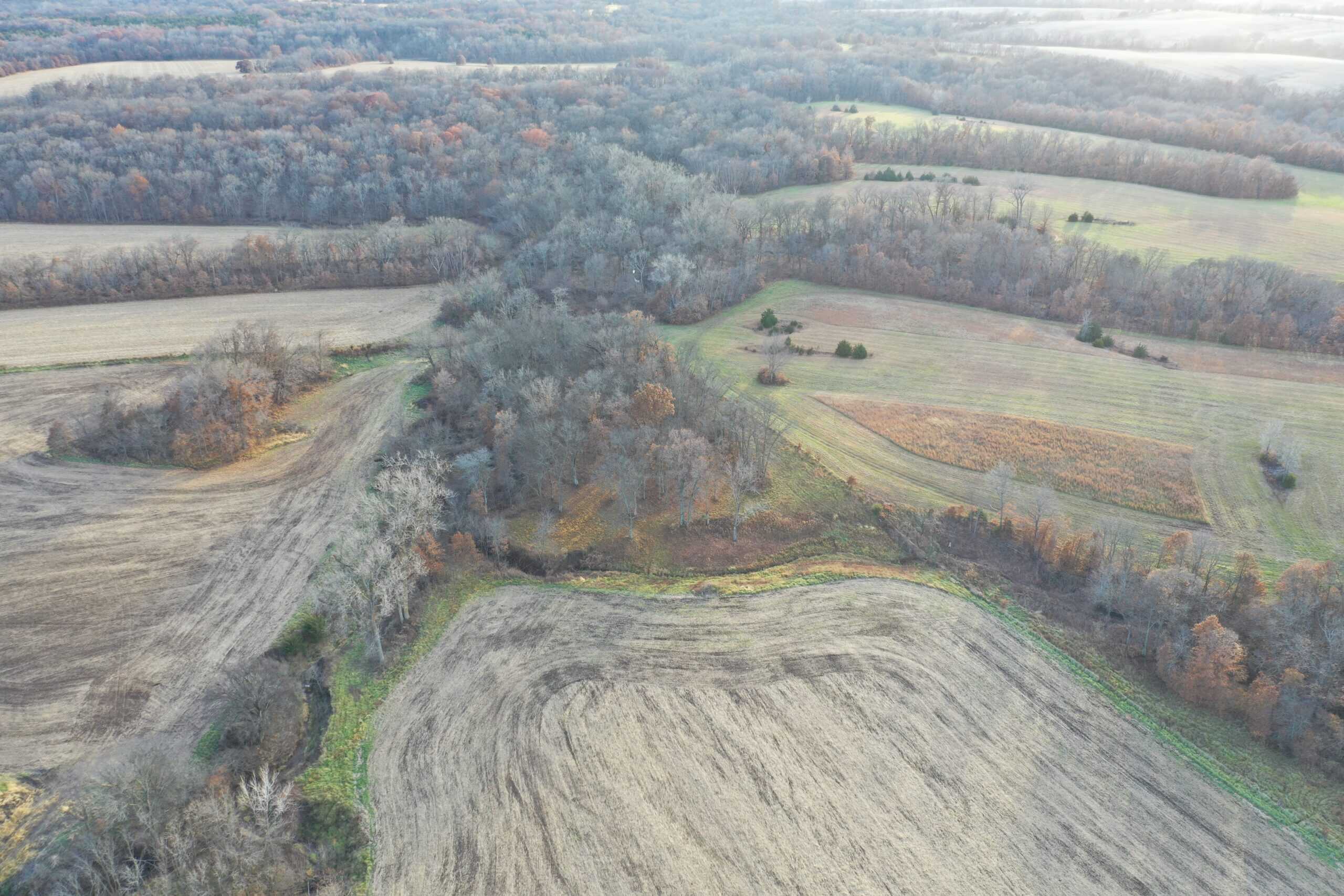 Mercer County Tillable Farm For Sale