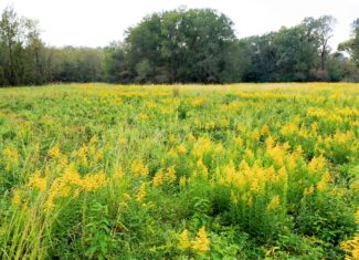 Recreational Ranch with home with acreage for sale in East Texas