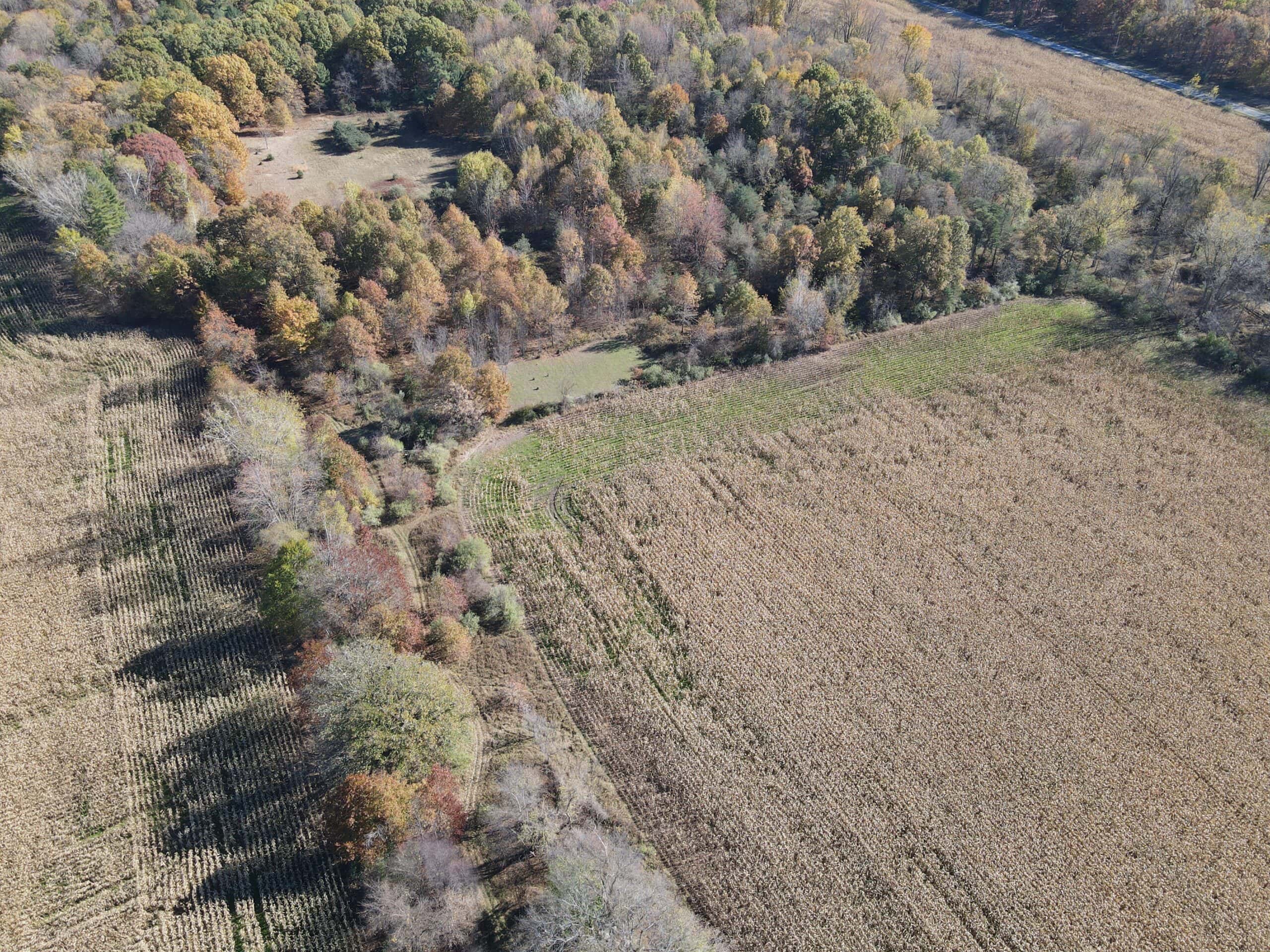 Hunting land for sale in Michigan, Hunting land for sale in Saginaw County