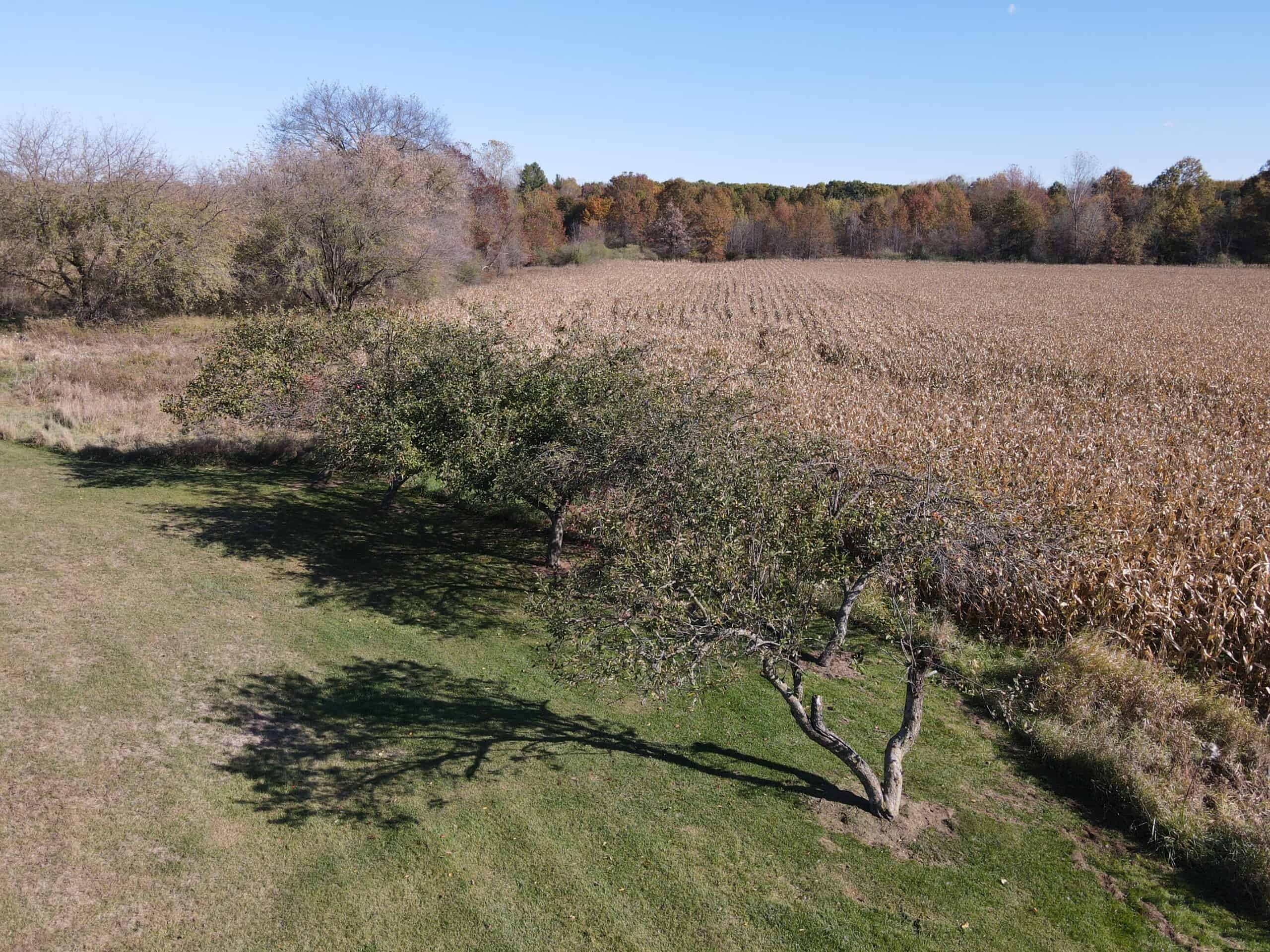 Hunting land for sale in Michigan, Hunting land for sale in Saginaw County