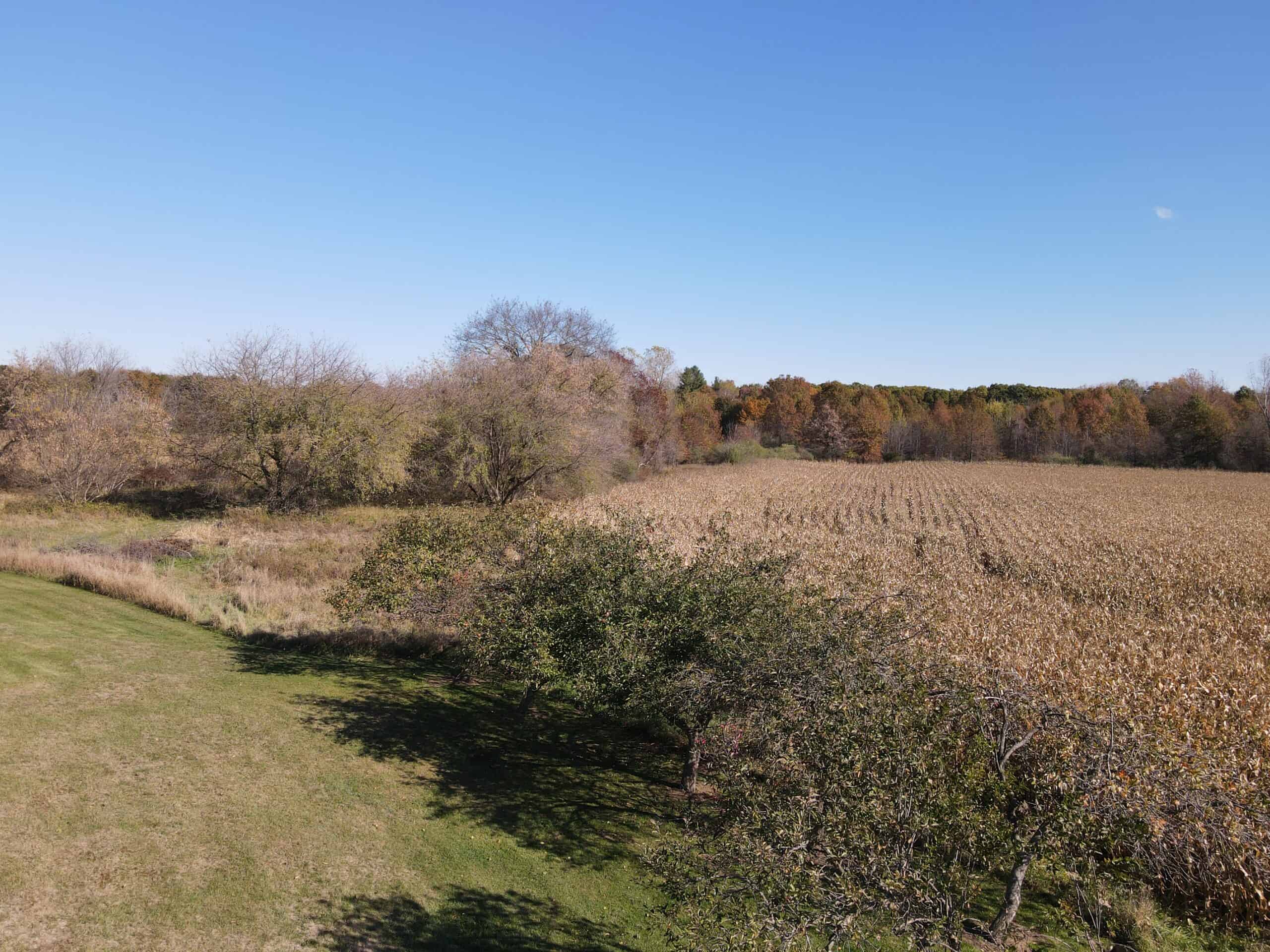 Hunting land for sale in Michigan, Hunting land for sale in Saginaw County