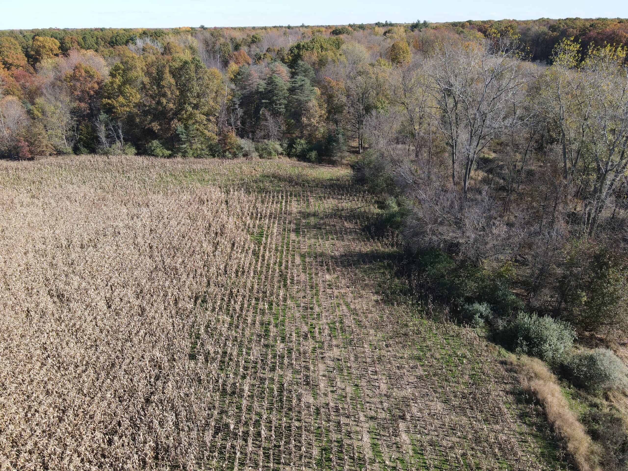 Hunting land for sale in Michigan, Hunting land for sale in Saginaw County