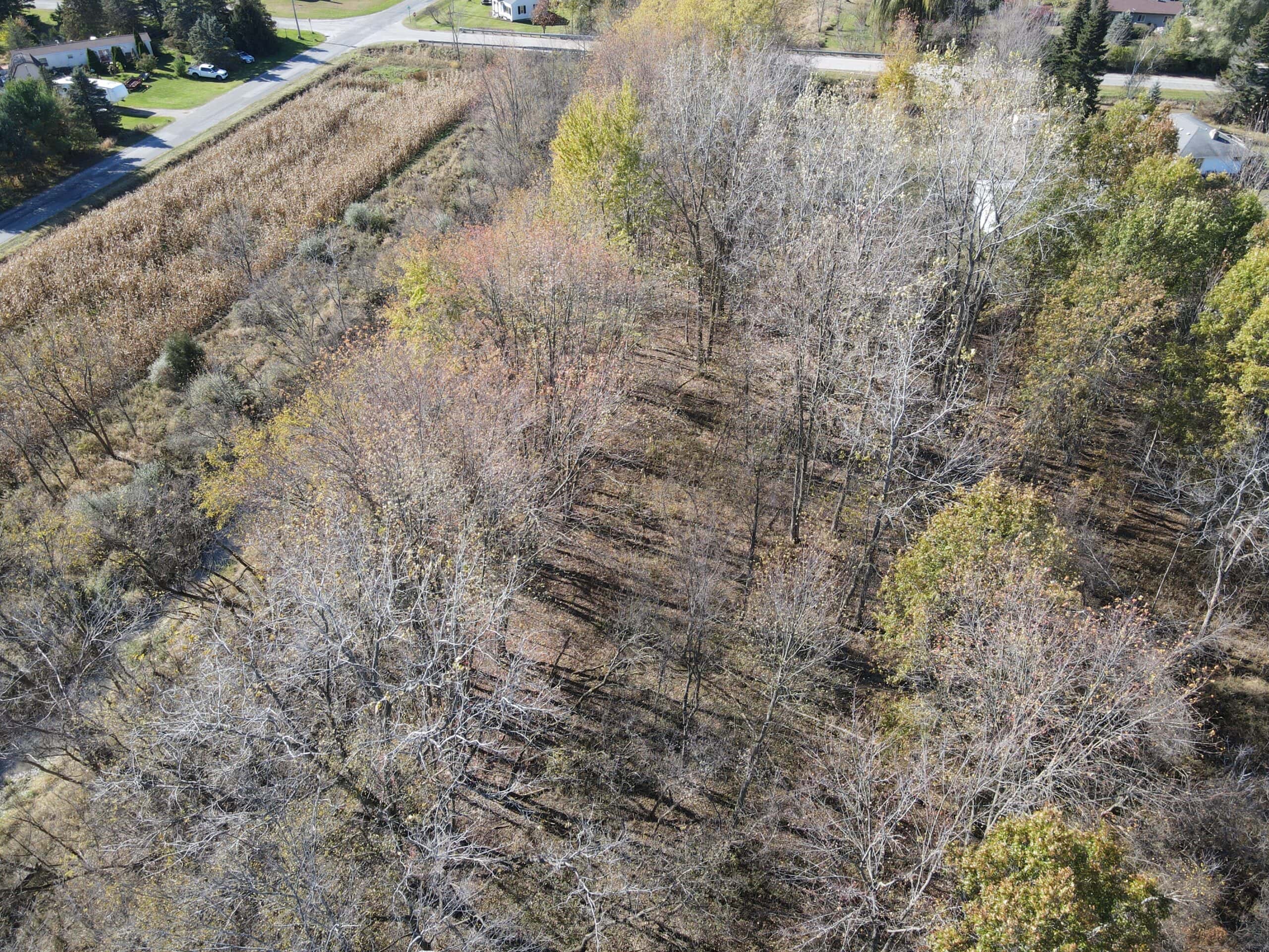 Hunting land for sale in Michigan, Hunting land for sale in Saginaw County