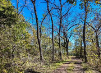 80+\- acres West Central Missouri