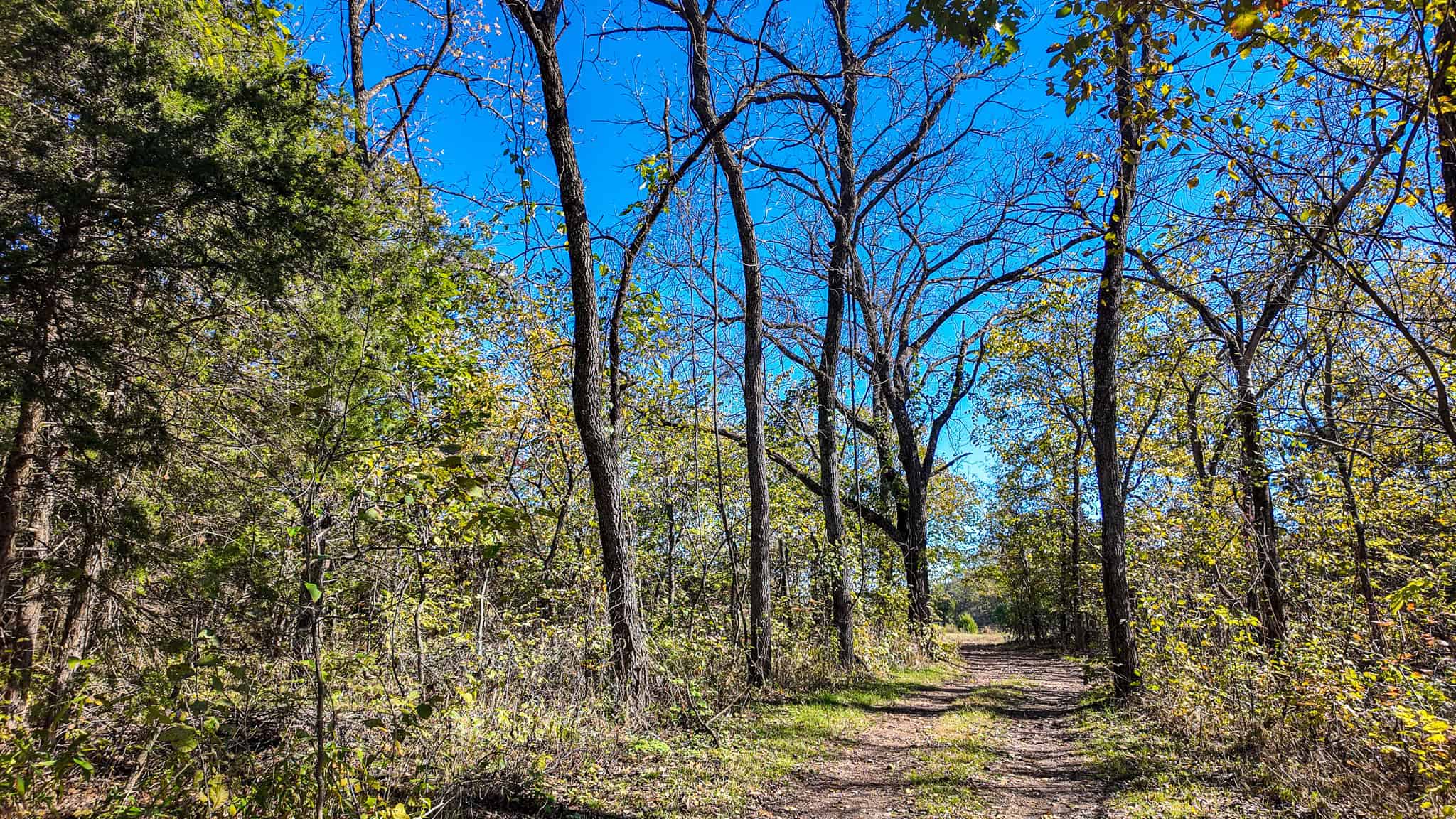 80+\- acres West Central Missouri