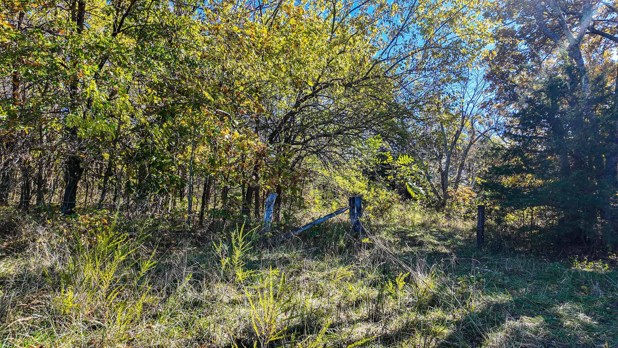 80+\- acres West Central Missouri