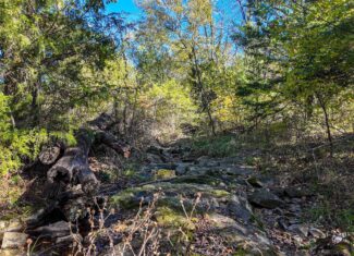 80+\- acres West Central Missouri