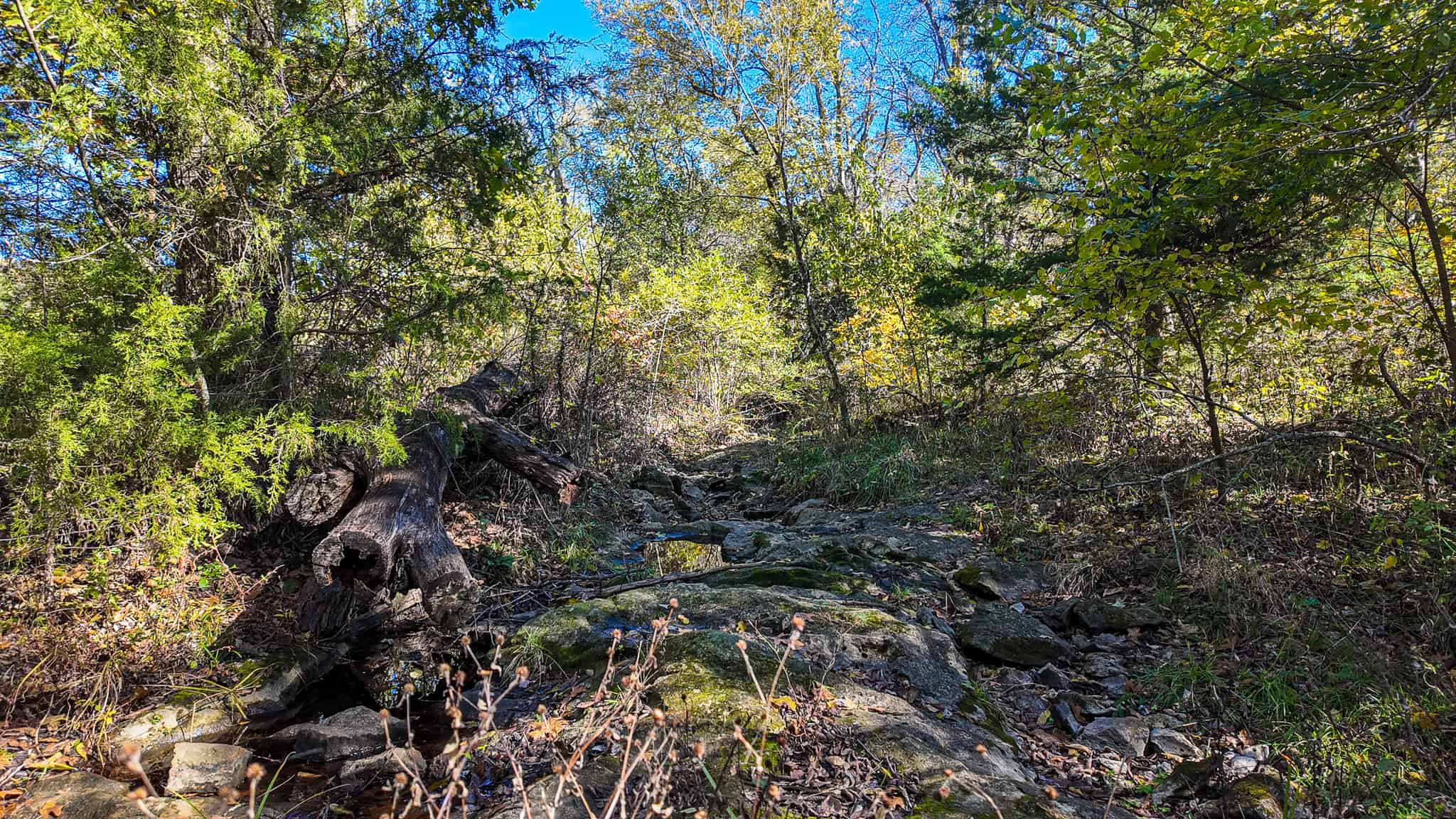 80+\- acres West Central Missouri