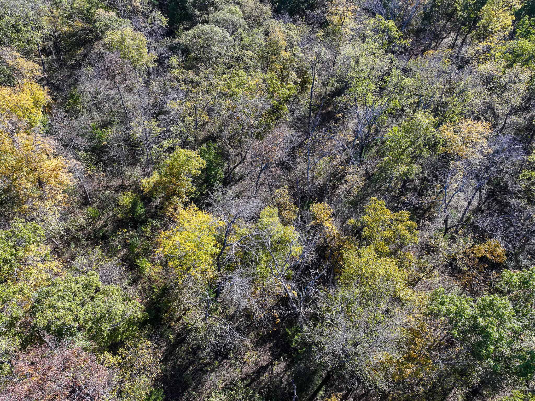 80+\- acres West Central Missouri