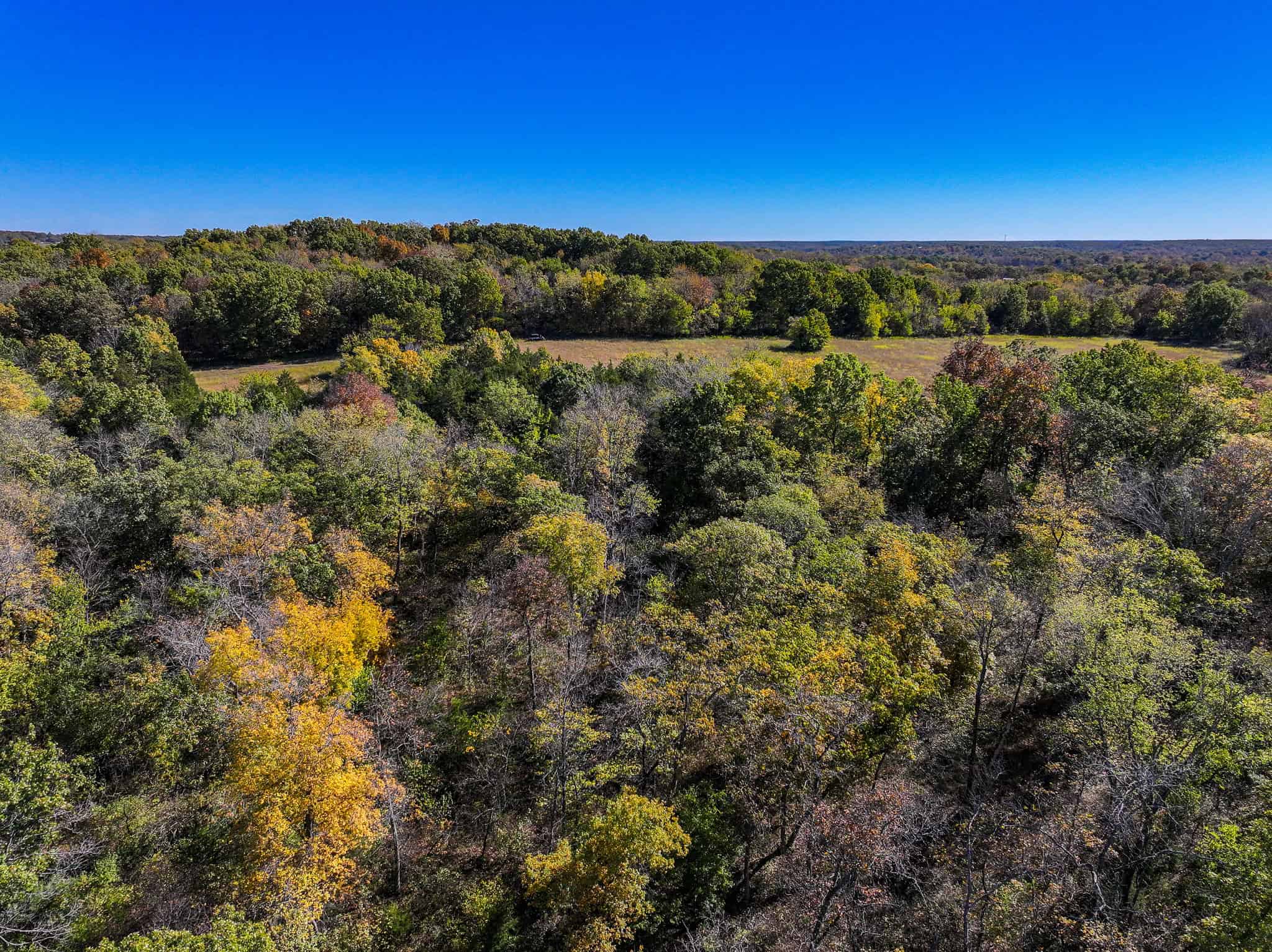 80+\- acres West Central Missouri