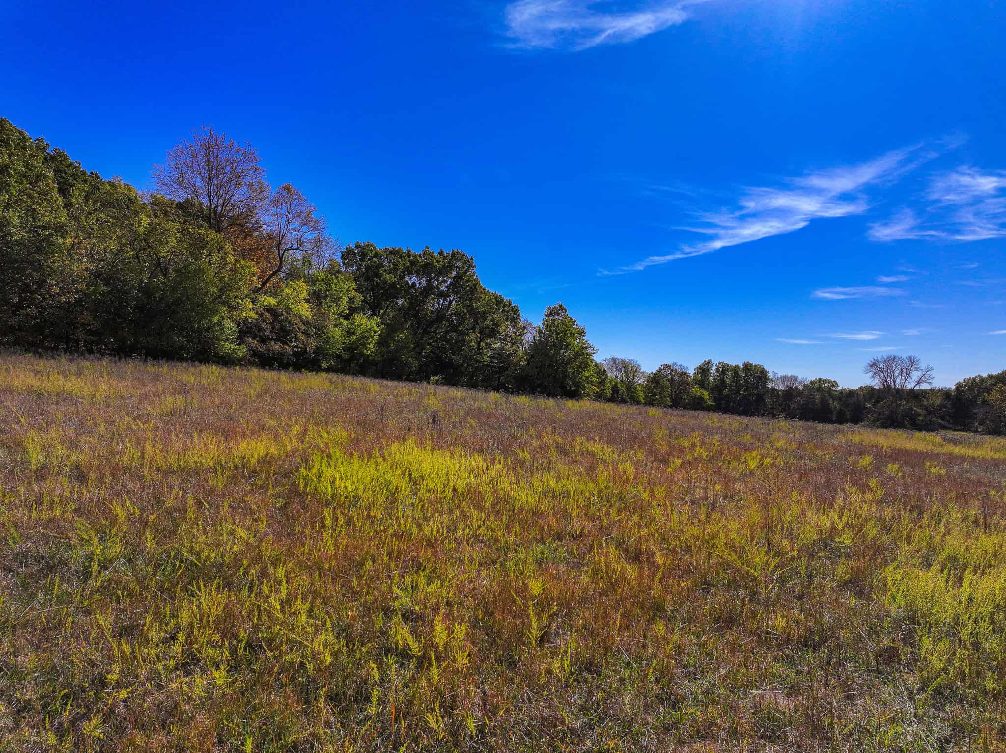 80+\- acres West Central Missouri
