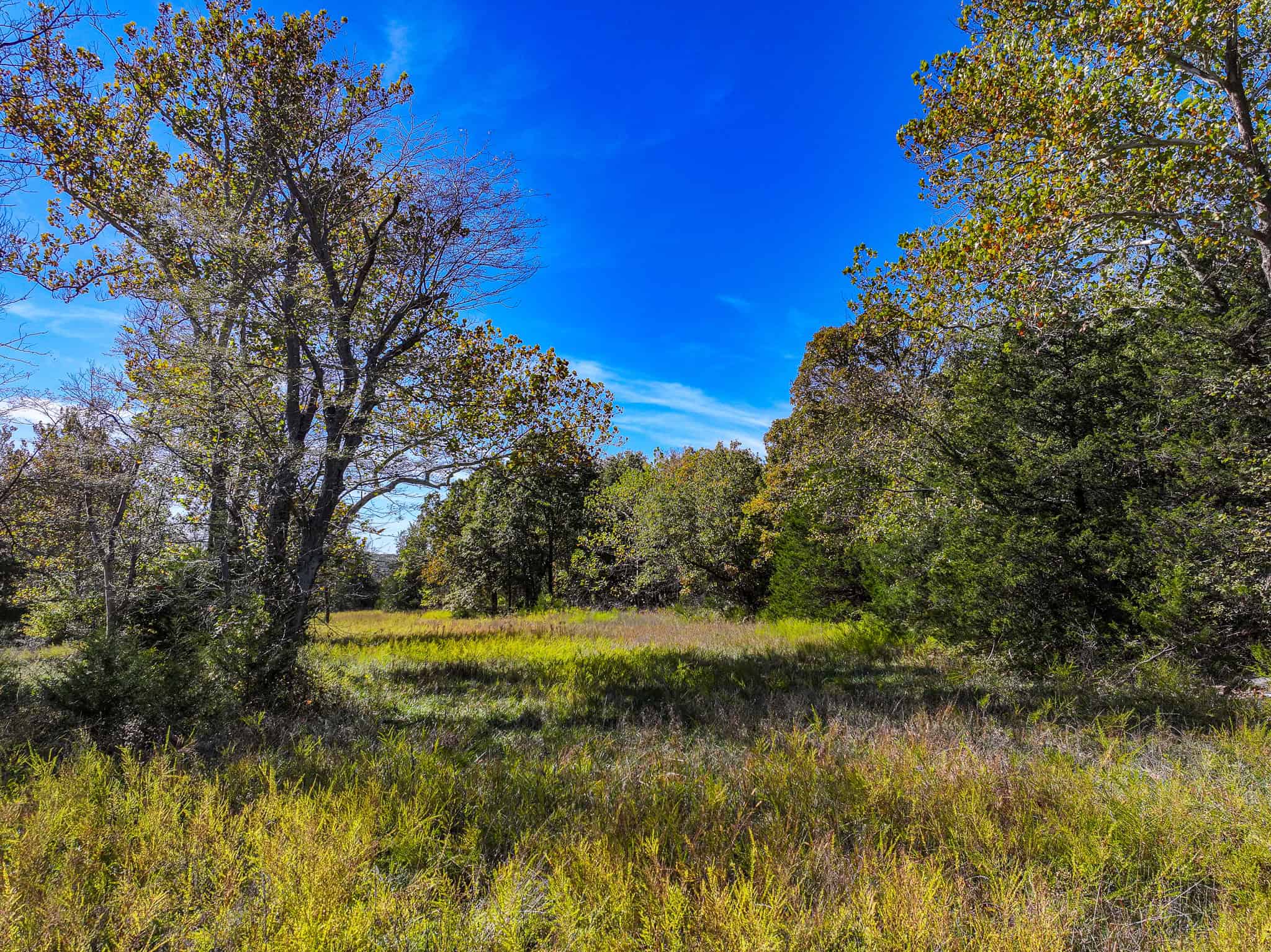 80+\- acres West Central Missouri