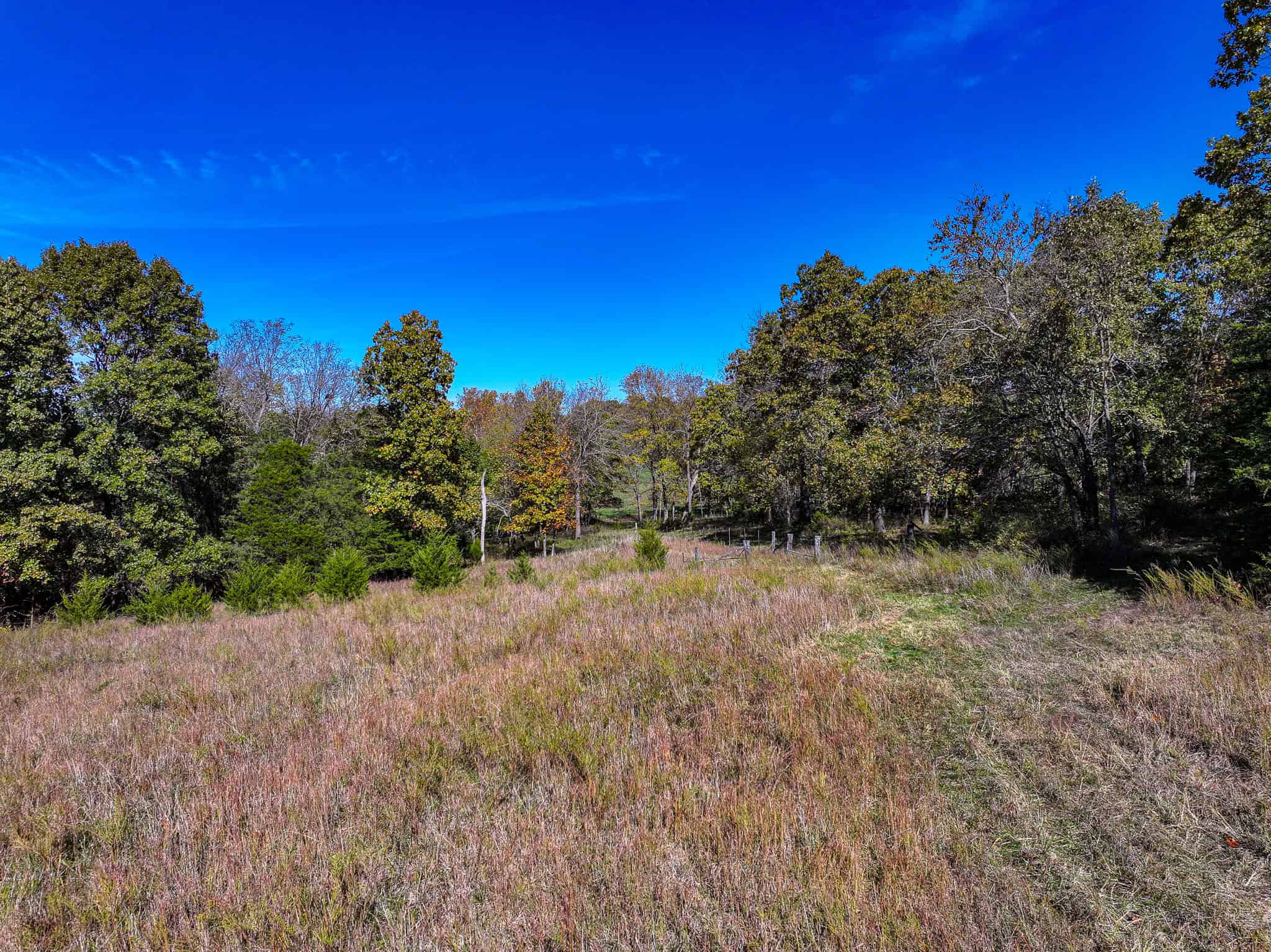 80+\- acres West Central Missouri