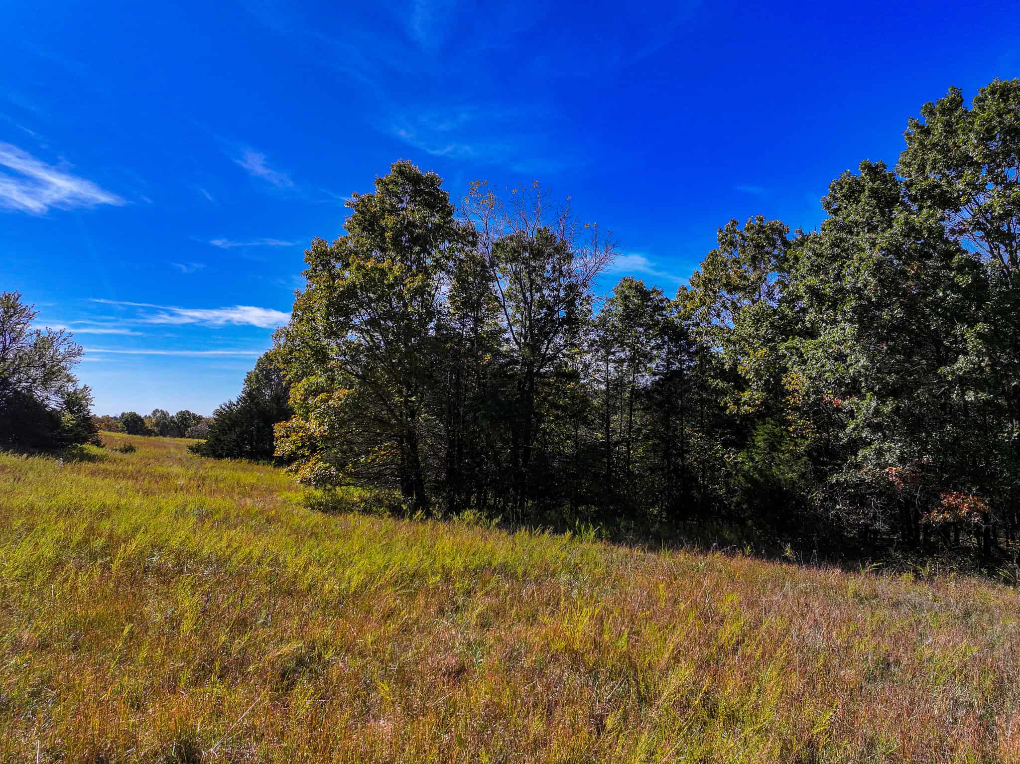 80+\- acres West Central Missouri