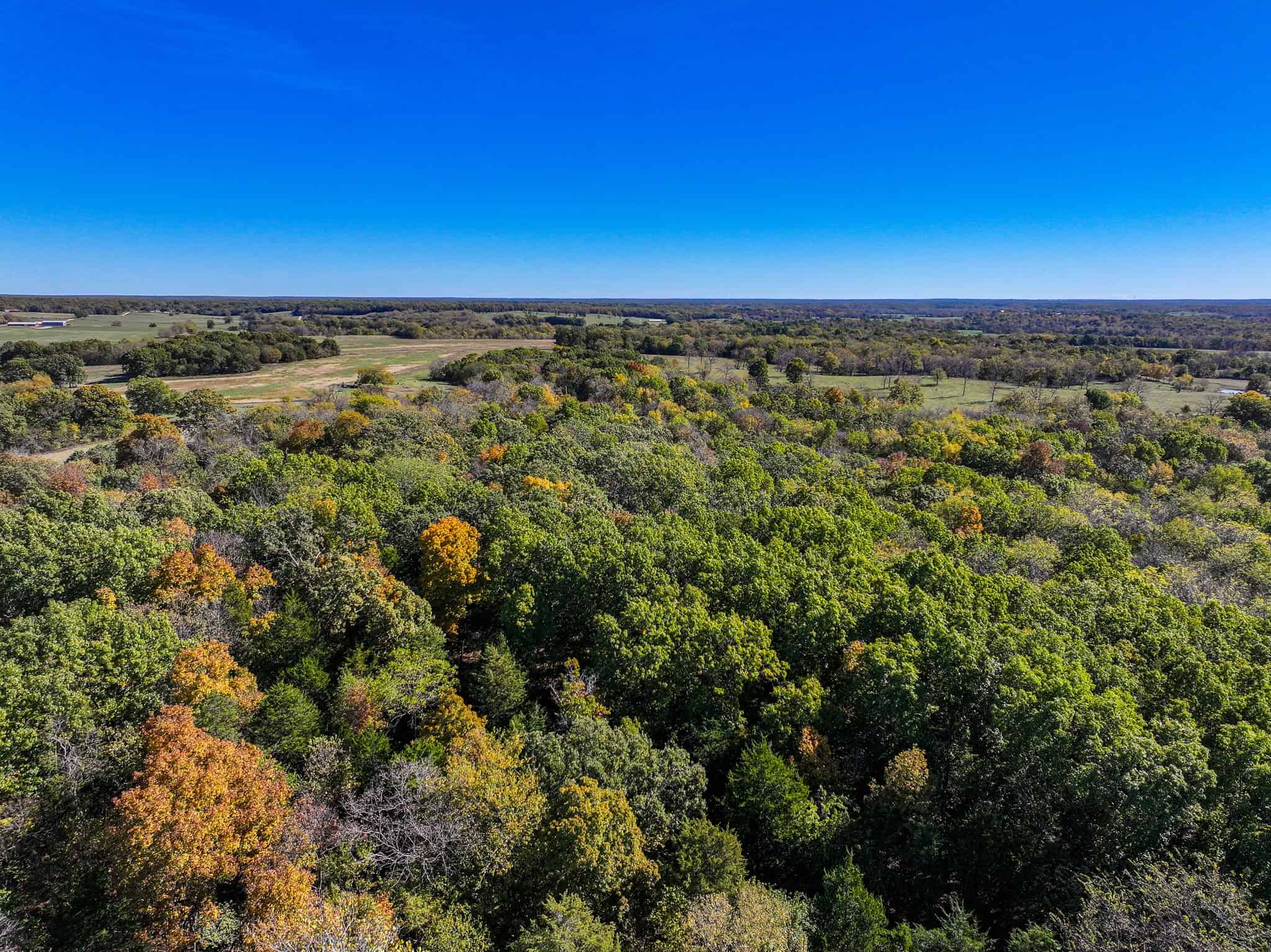 80+\- acres West Central Missouri
