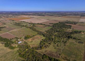 Land for Sale Barton County, MO