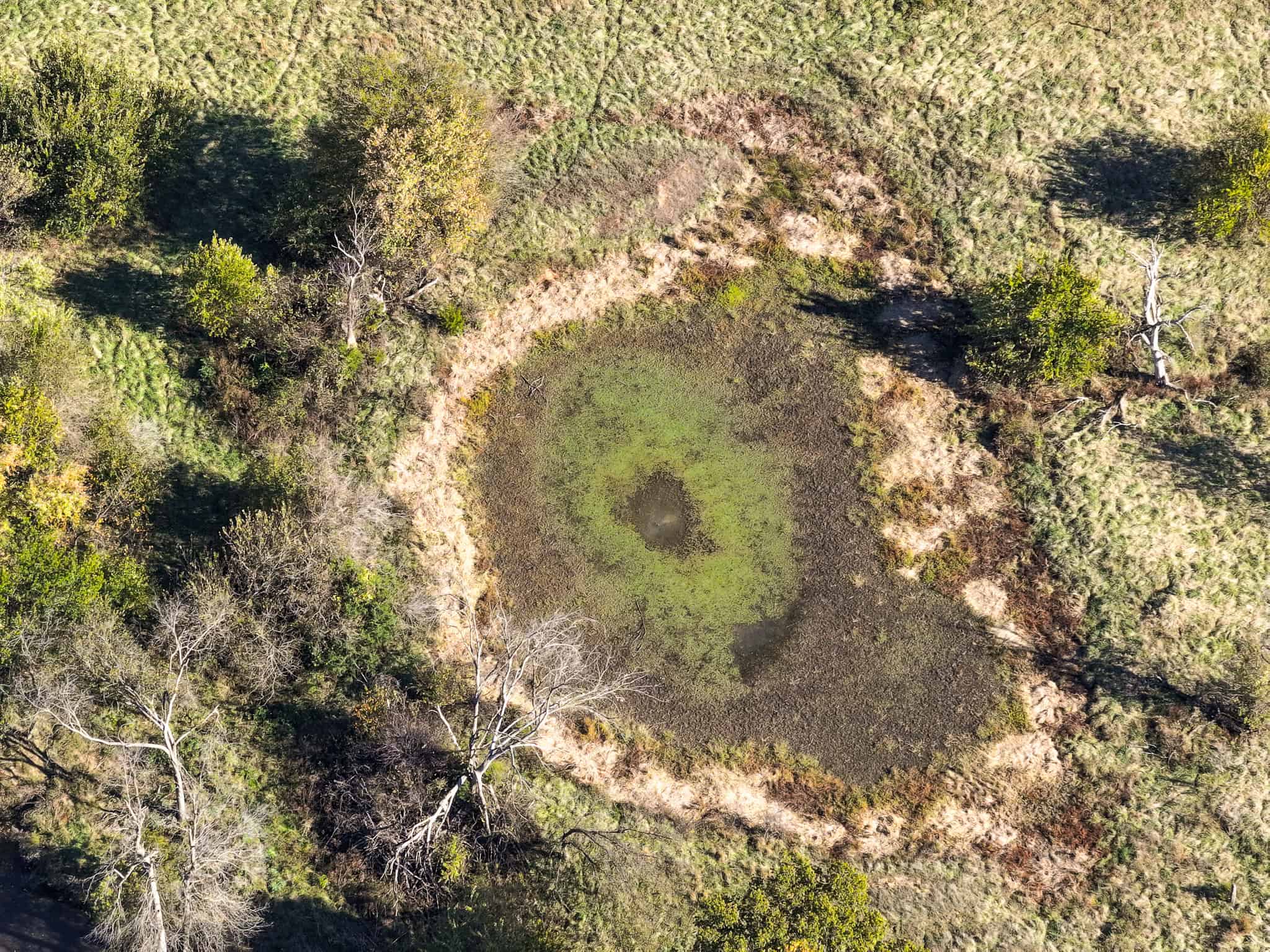 Land for Sale Barton County, MO