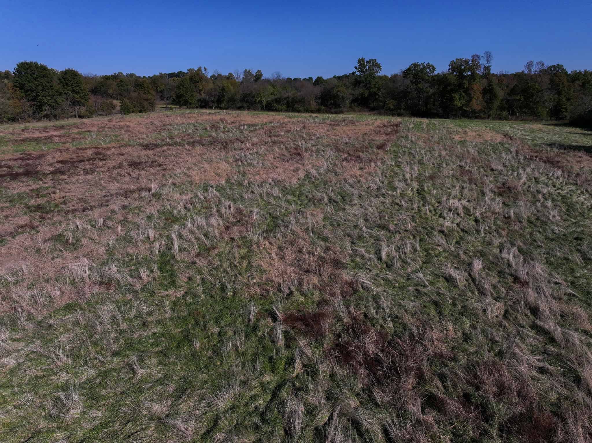 Land for Sale Barton County, MO