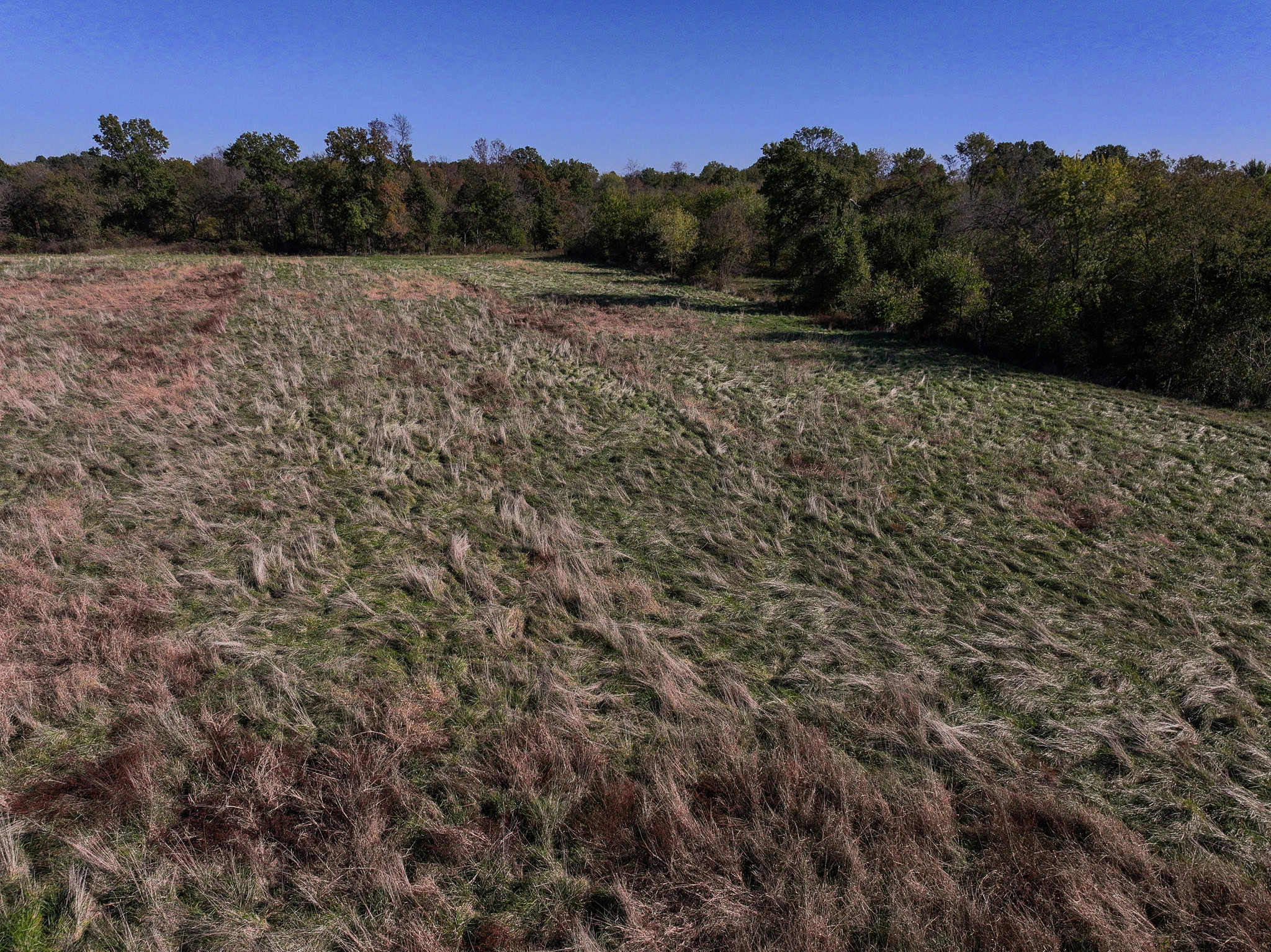 Land for Sale Barton County, MO