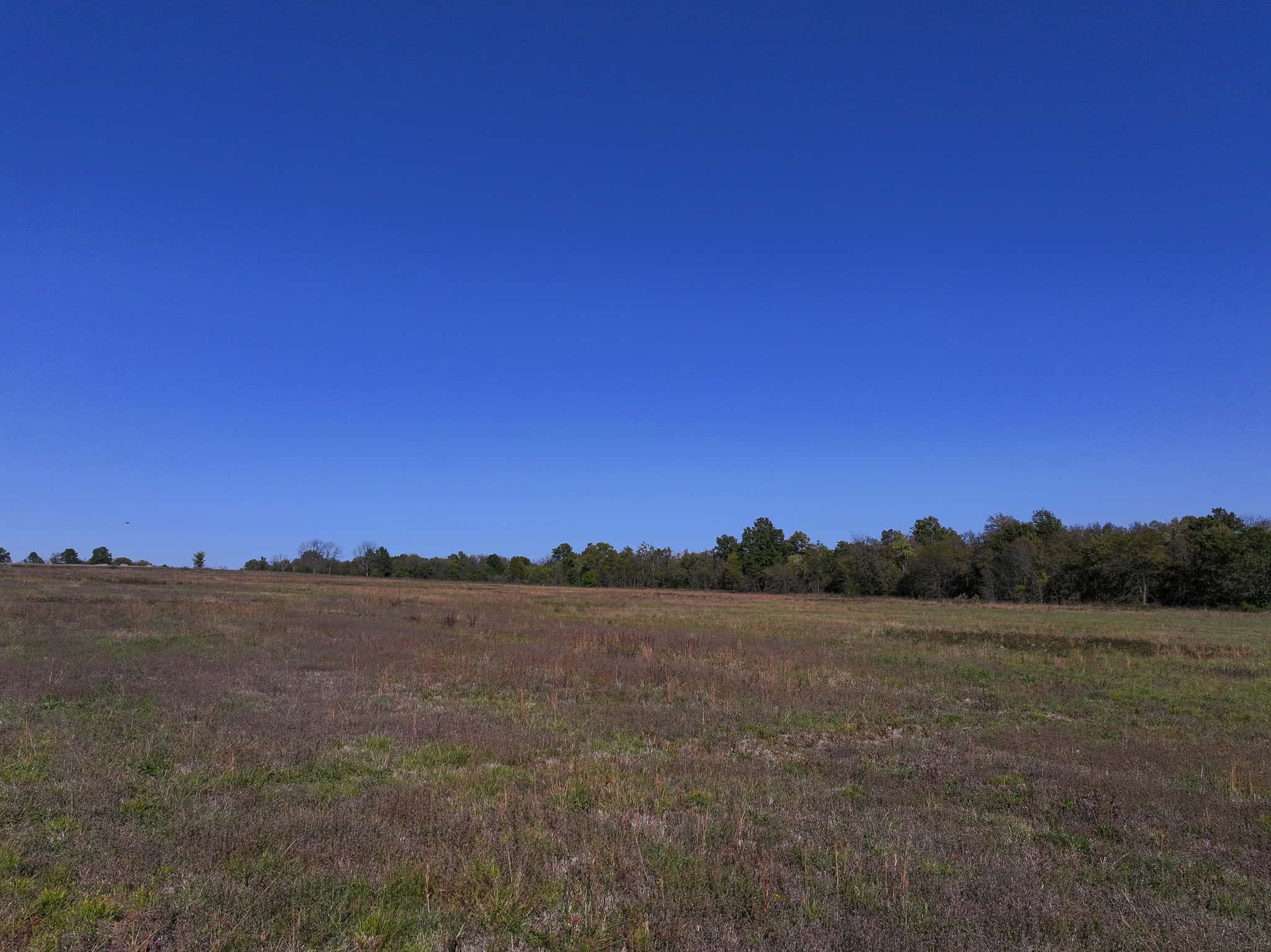 Land for Sale Barton County, MO
