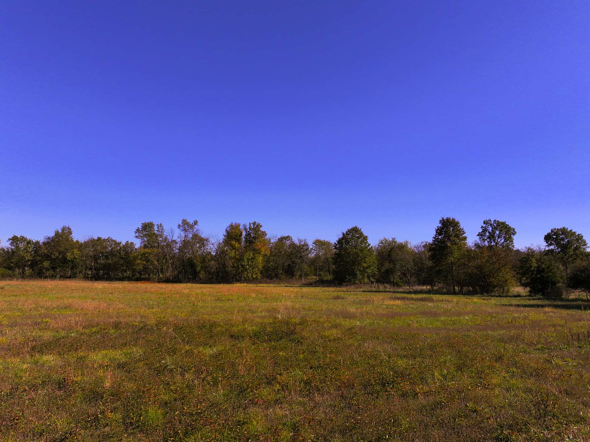 Land for Sale Barton County, MO