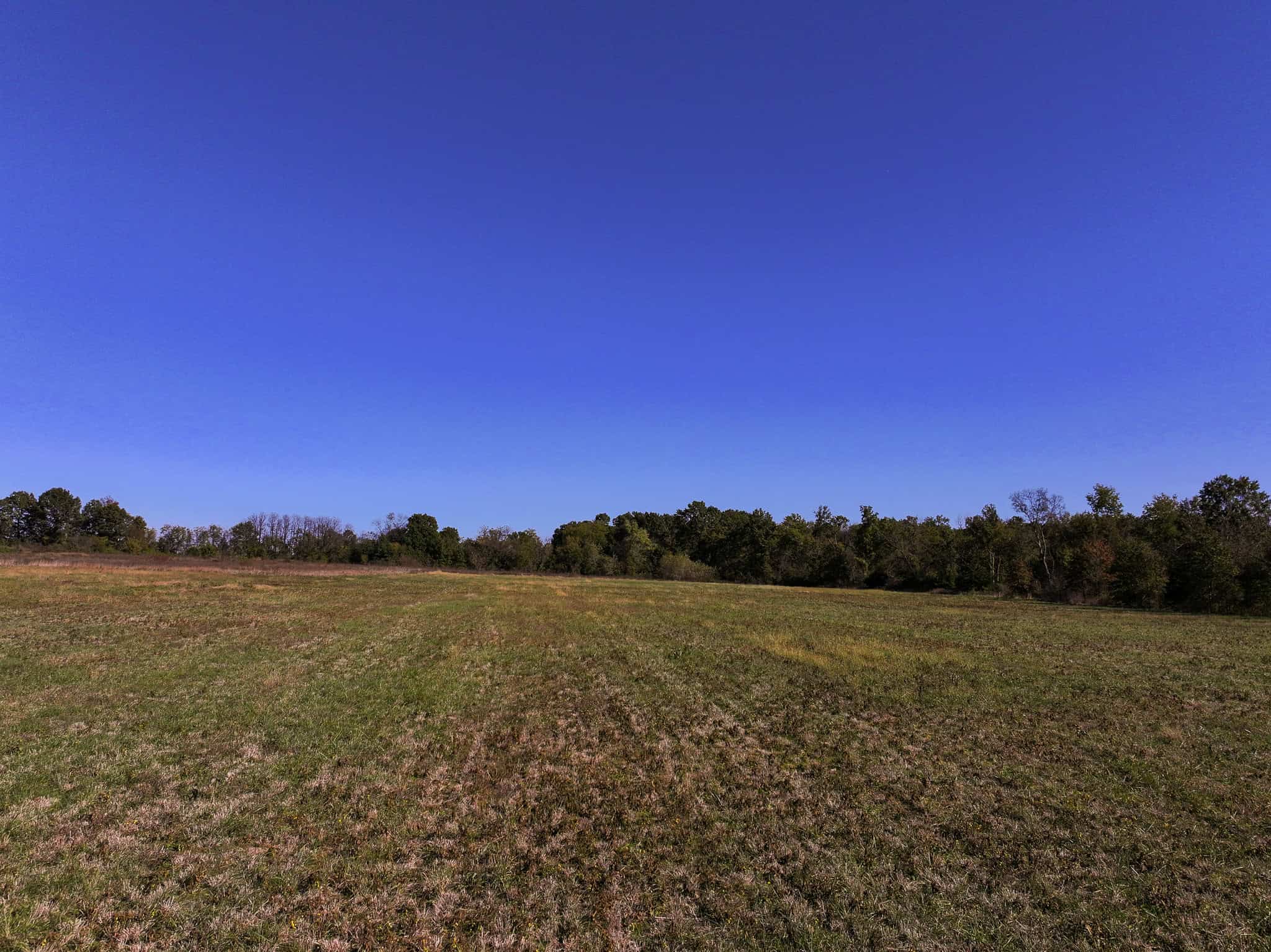 Land for Sale Barton County, MO