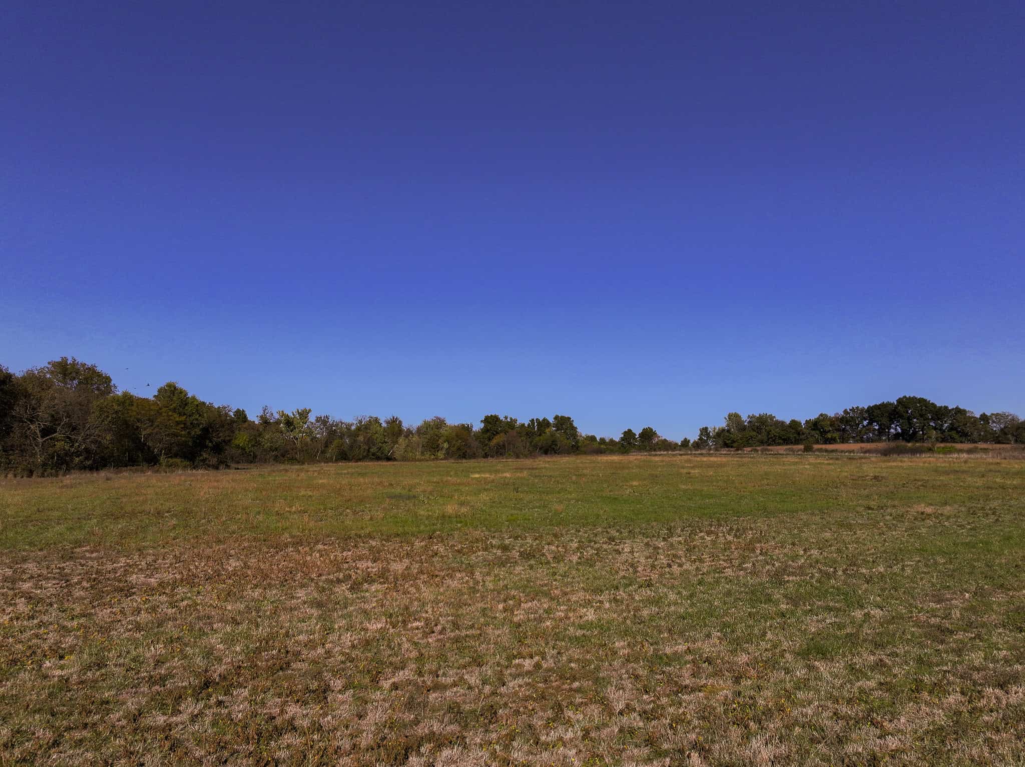 Land for Sale Barton County, MO