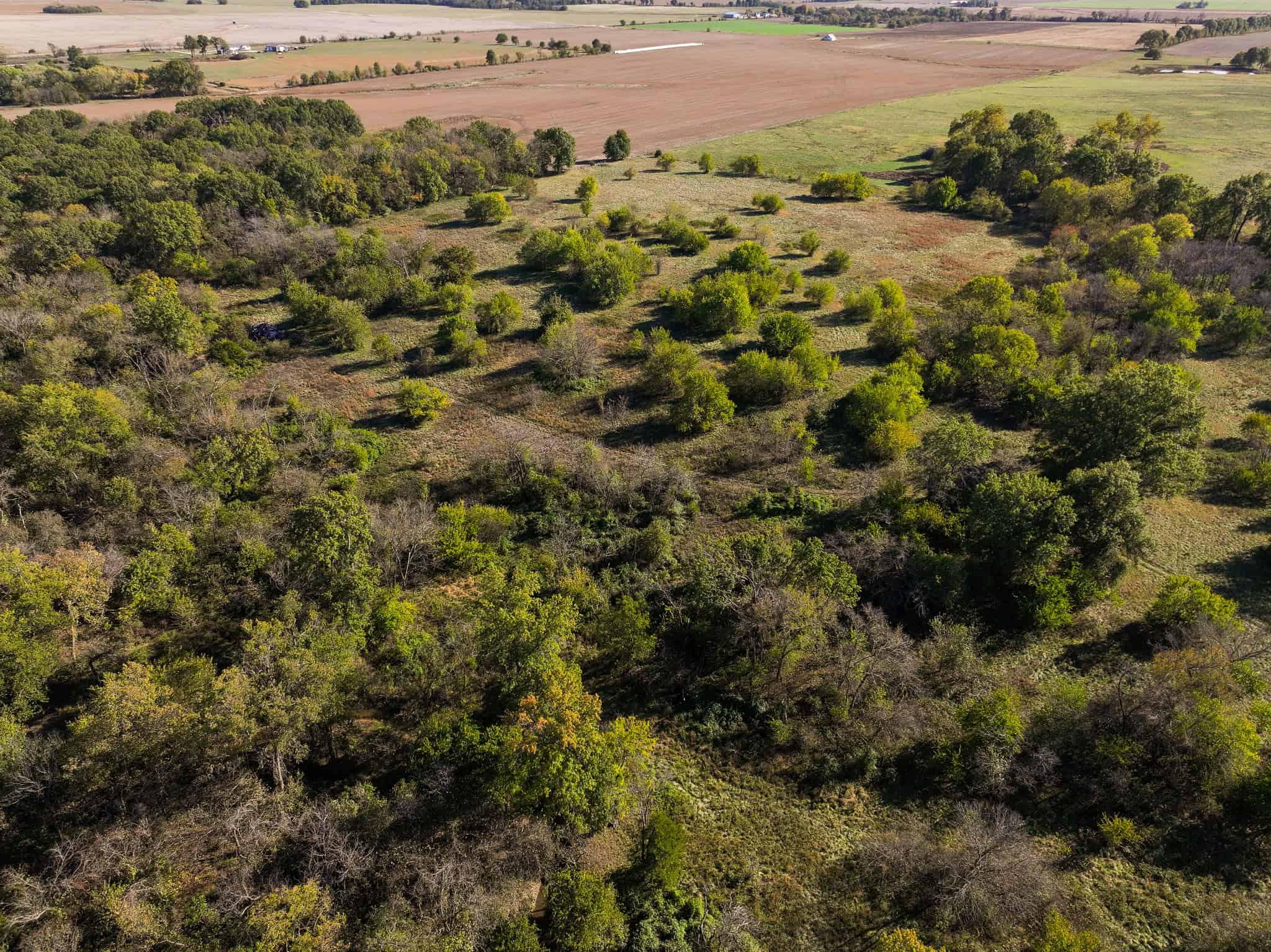 Land for Sale Barton County, MO