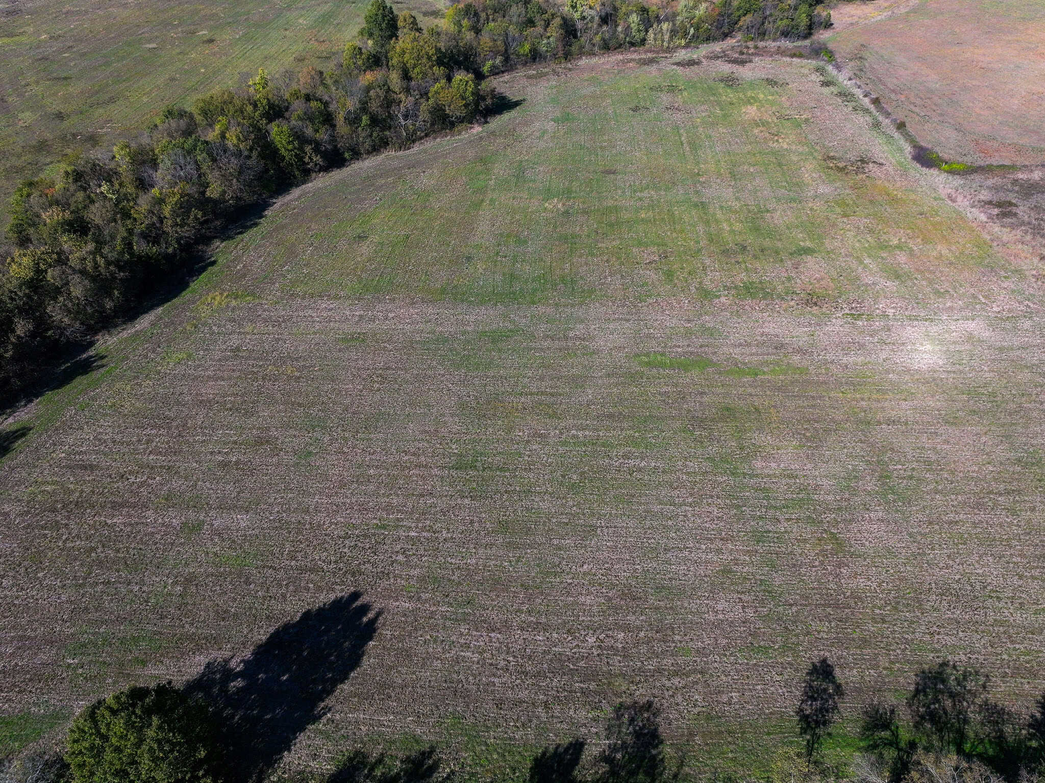 Land for Sale Barton County, MO