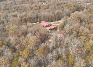 112-Acre Timberland Retreat with Cabin in Linden, Tennessee