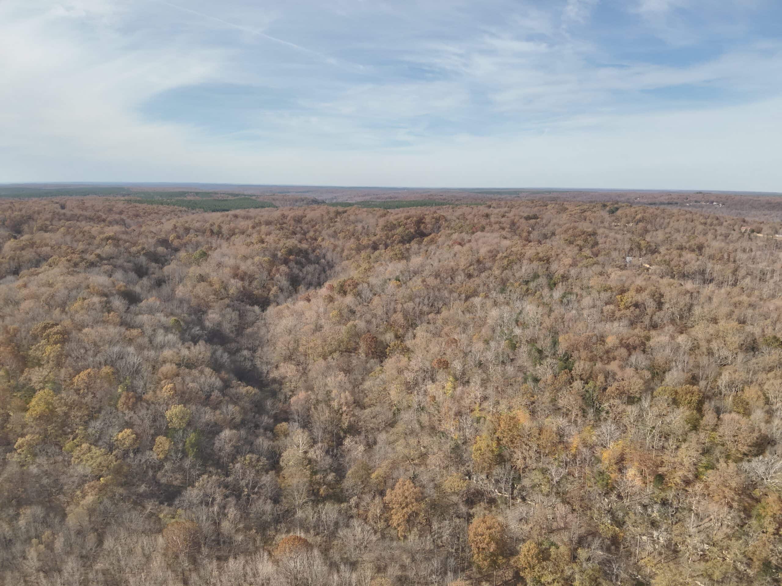 112-Acre Timberland Retreat with Cabin in Linden, Tennessee