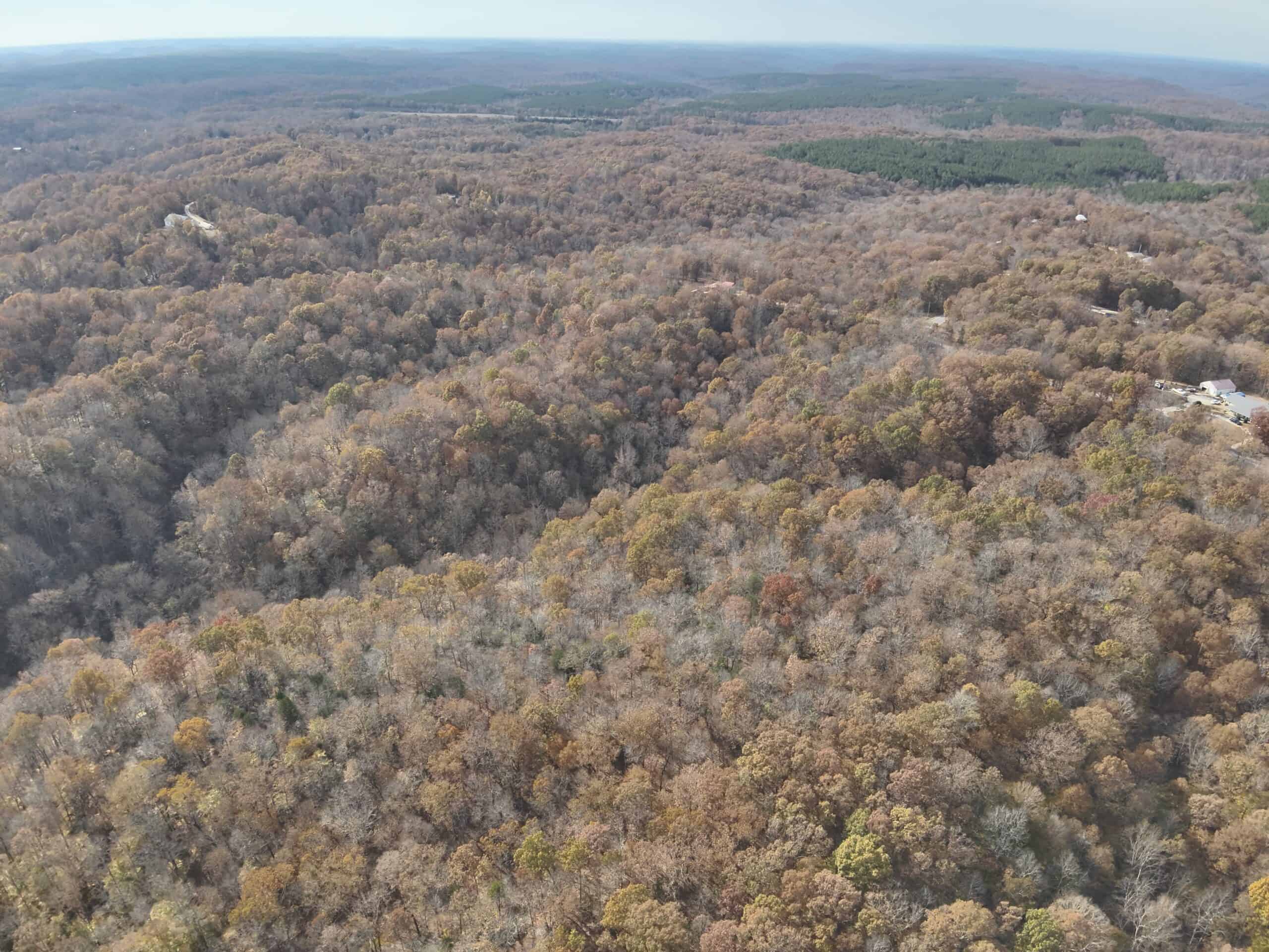 112-Acre Timberland Retreat with Cabin in Linden, Tennessee