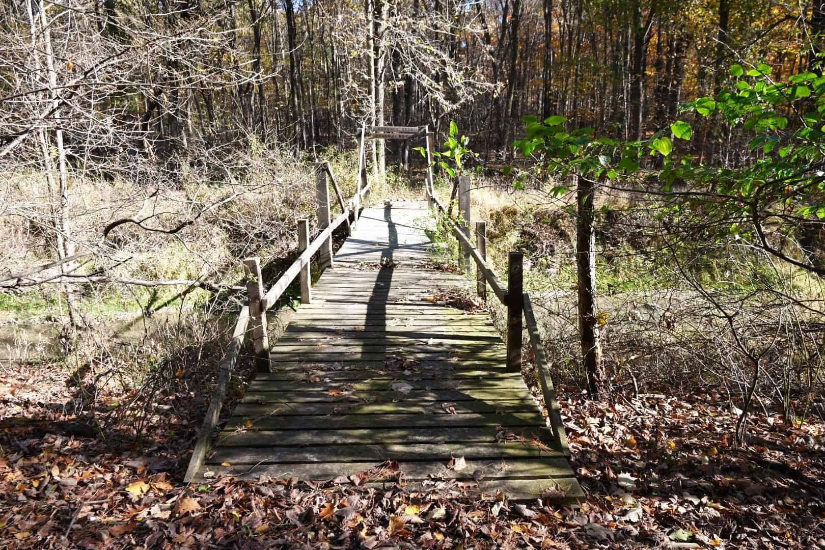 Hunting land for sale in Michigan, Hunting land for sale in Saginaw County