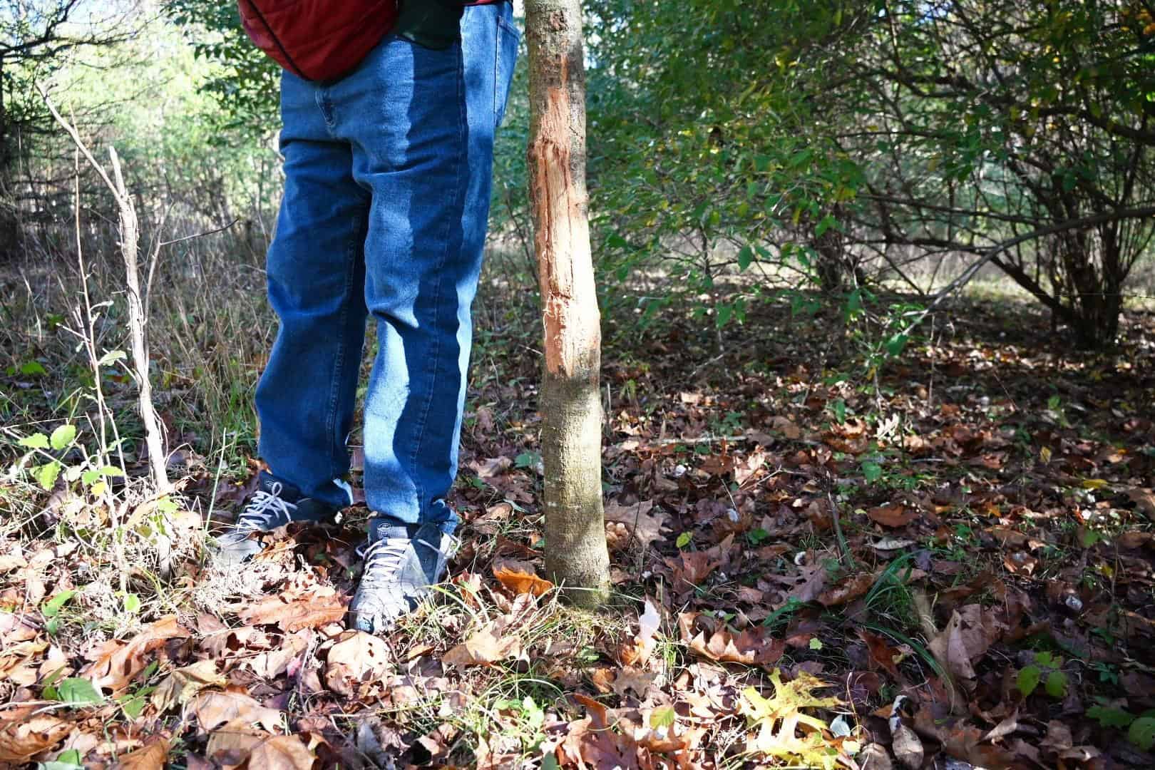 Hunting land for sale in Michigan, Hunting land for sale in Saginaw County