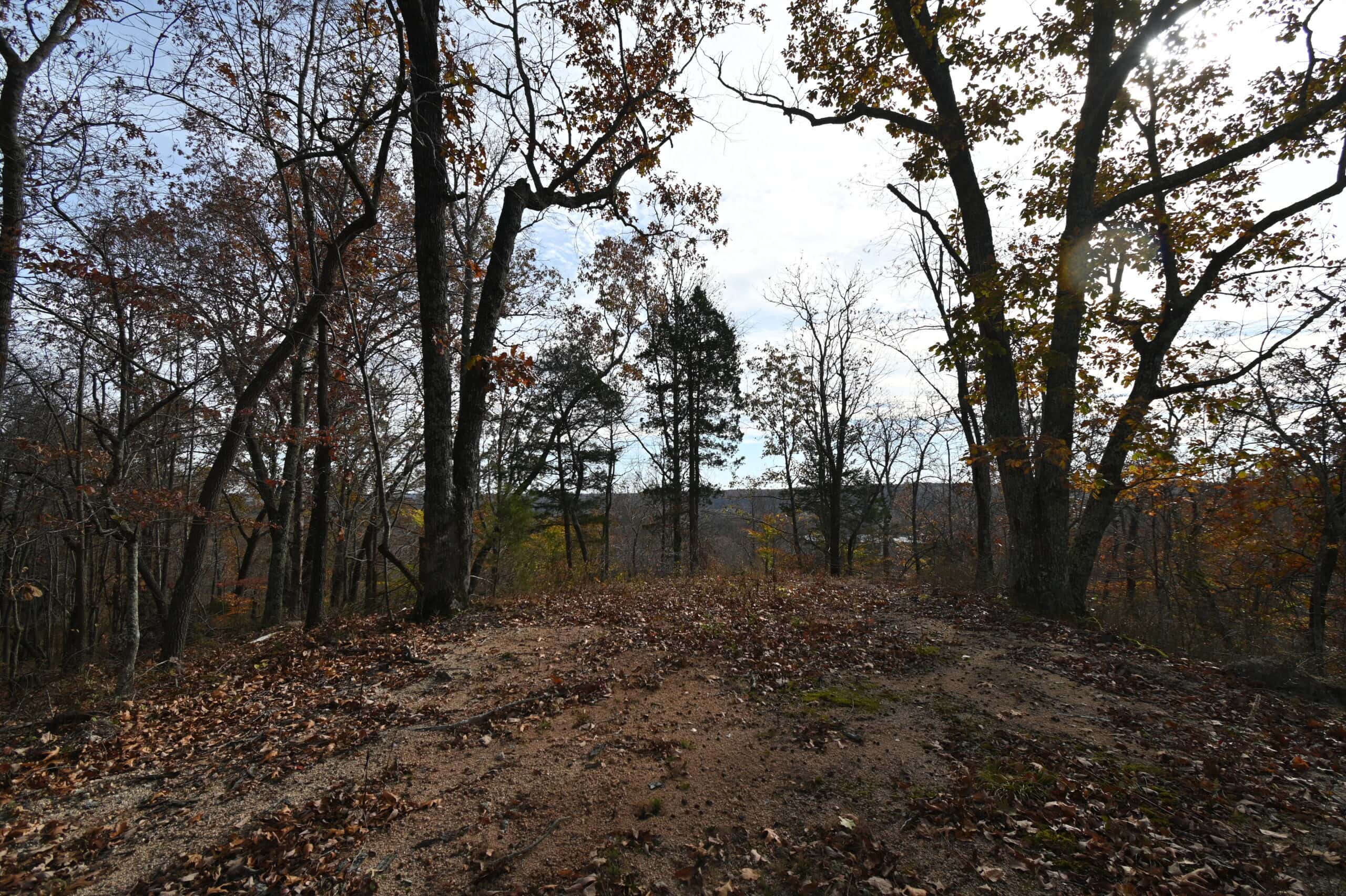 112-Acre Timberland Retreat with Cabin in Linden, Tennessee