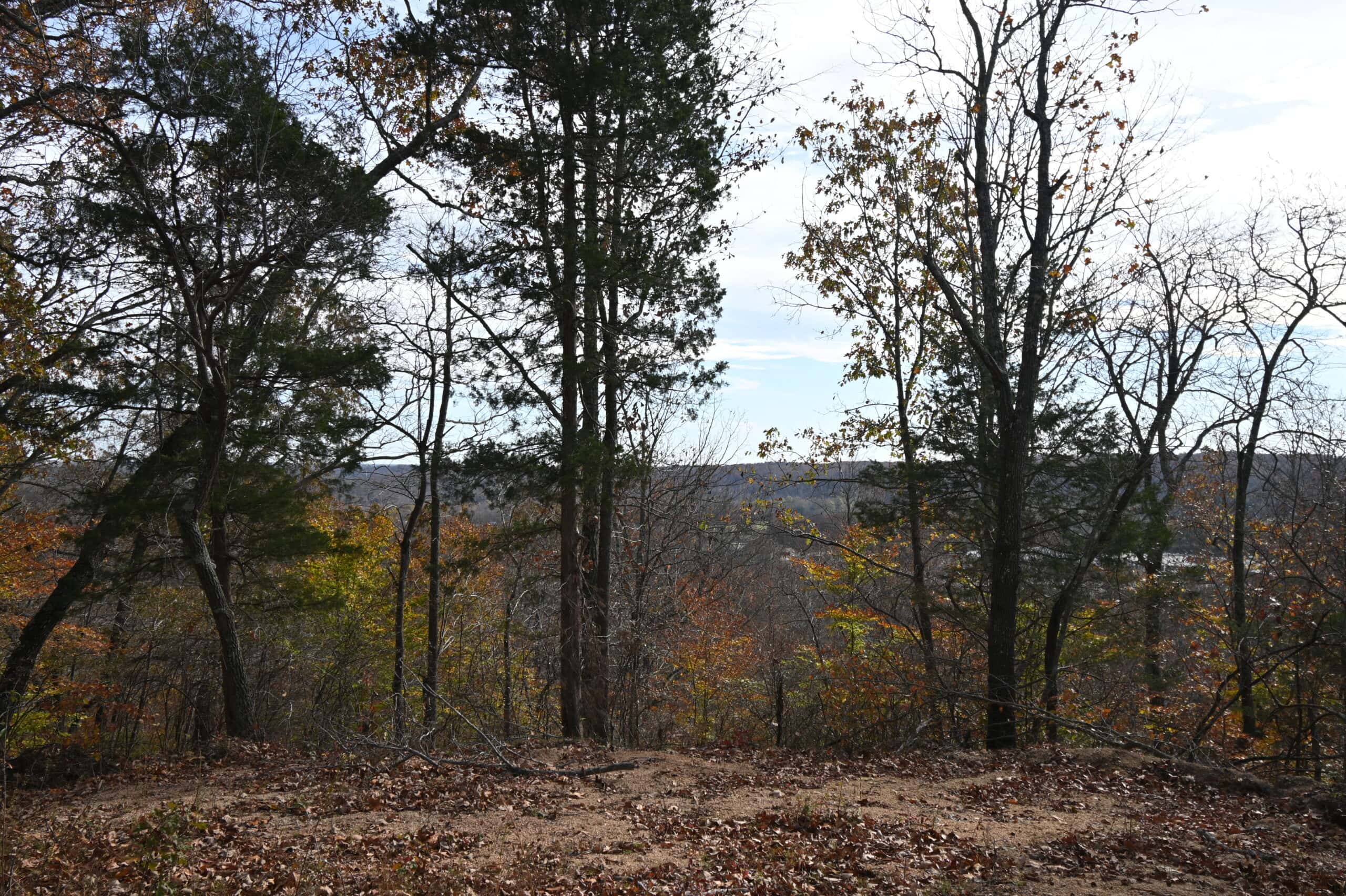 112-Acre Timberland Retreat with Cabin in Linden, Tennessee