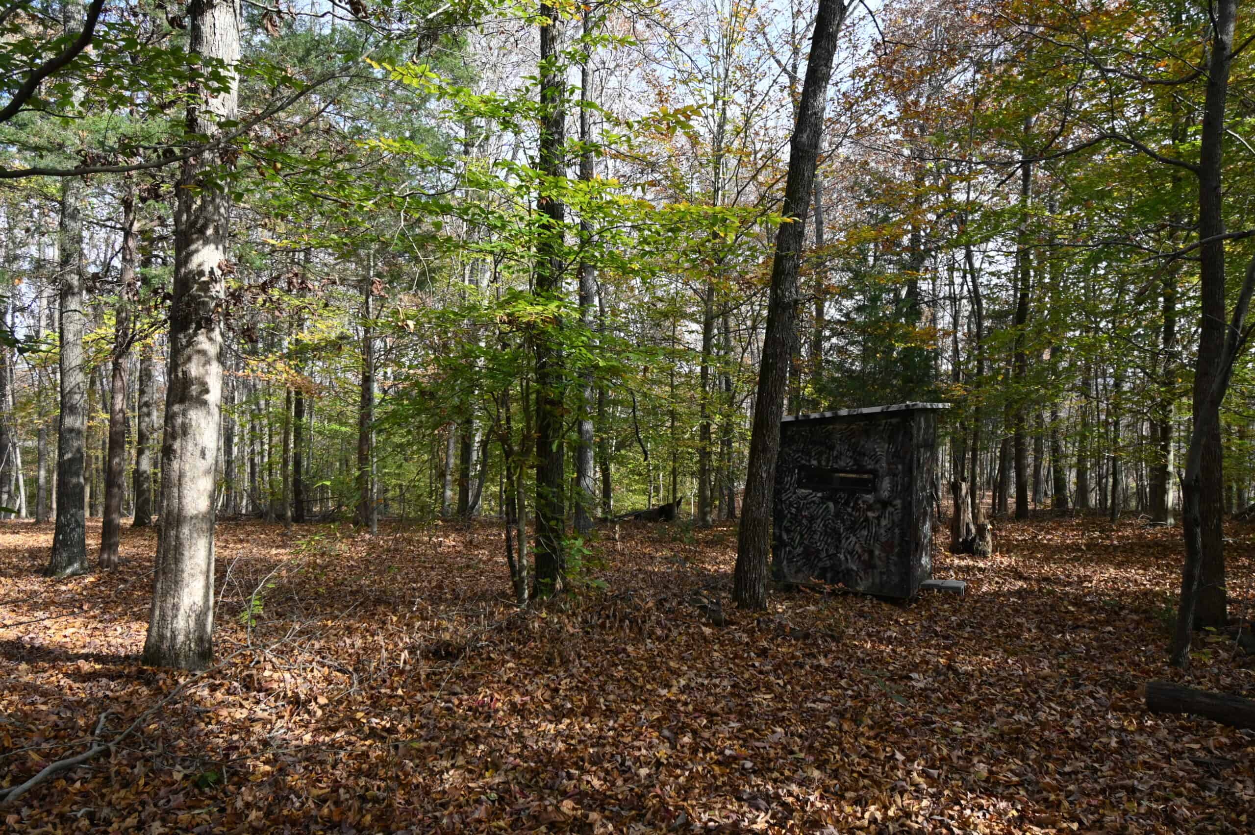 112-Acre Timberland Retreat with Cabin in Linden, Tennessee