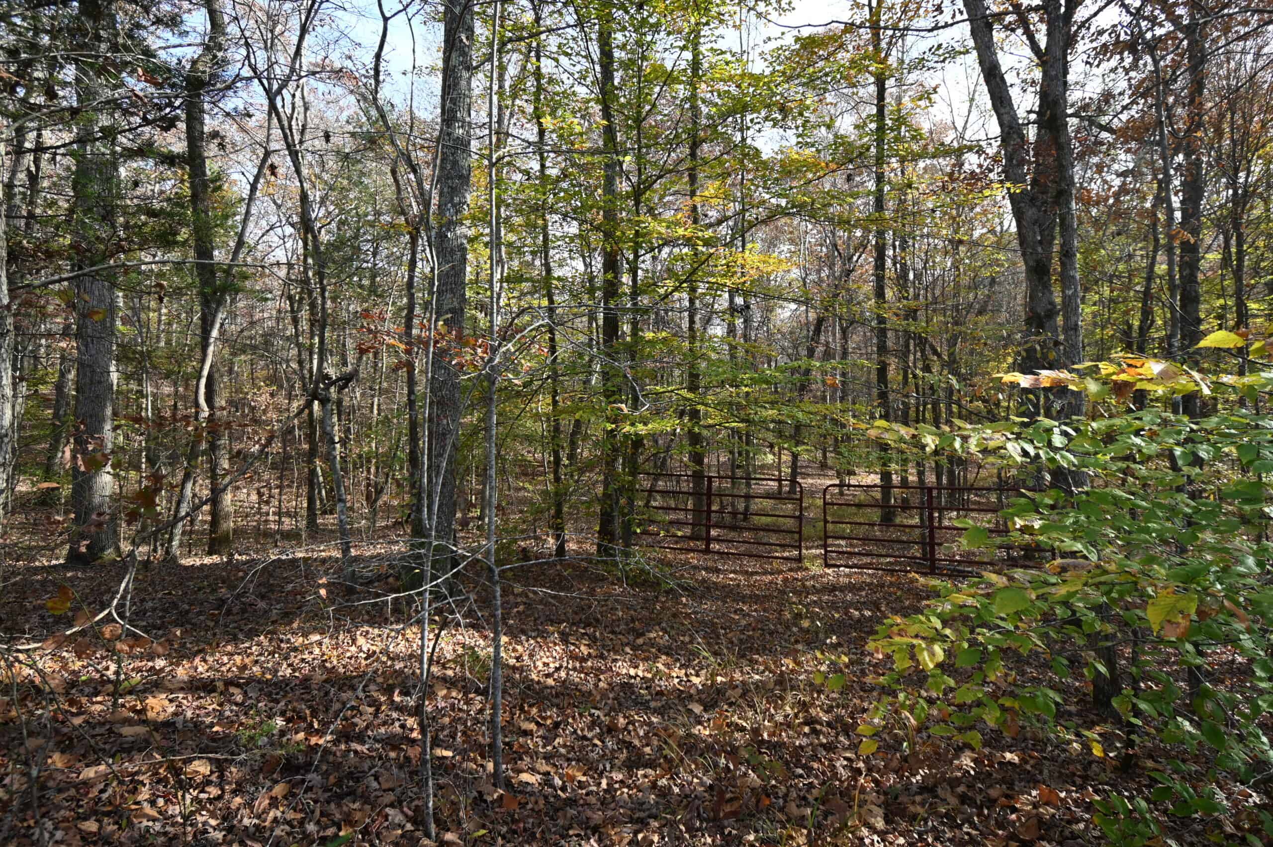 112-Acre Timberland Retreat with Cabin in Linden, Tennessee