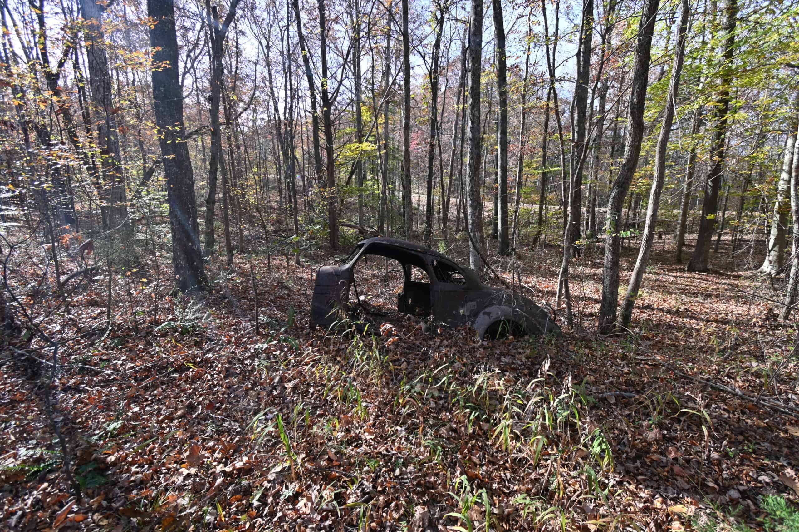 112-Acre Timberland Retreat with Cabin in Linden, Tennessee