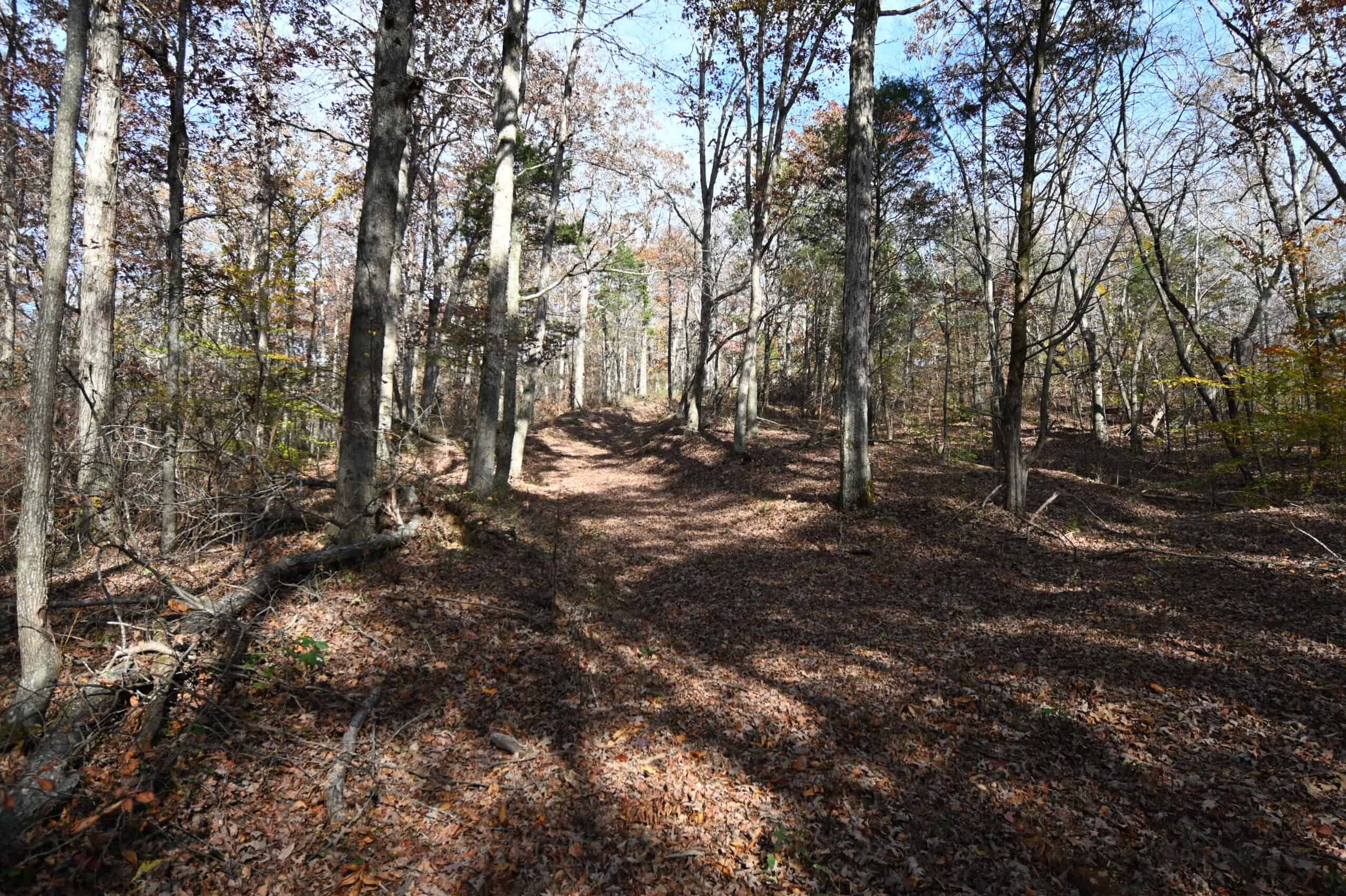 112-Acre Timberland Retreat with Cabin in Linden, Tennessee
