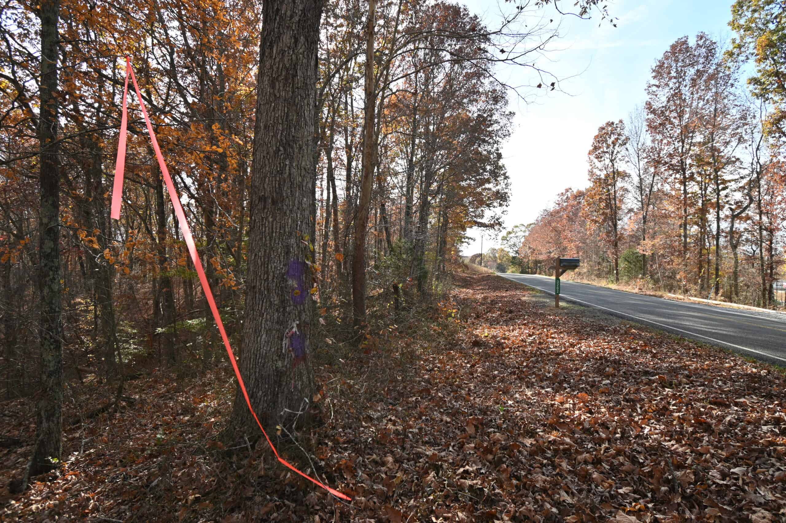 112-Acre Timberland Retreat with Cabin in Linden, Tennessee