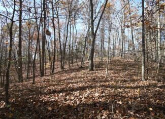 112-Acre Timberland Retreat with Cabin in Linden, Tennessee