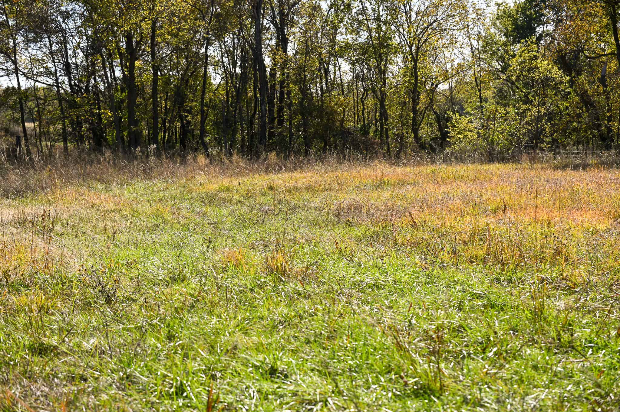 Land for Sale Barton County, MO