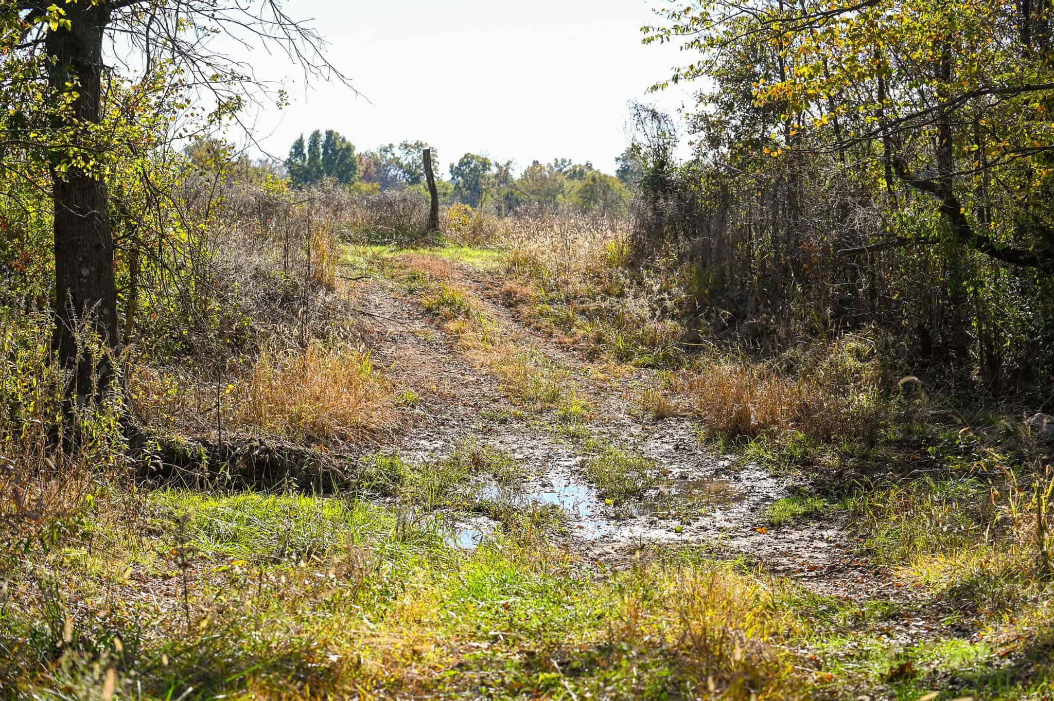 Land for Sale Barton County, MO